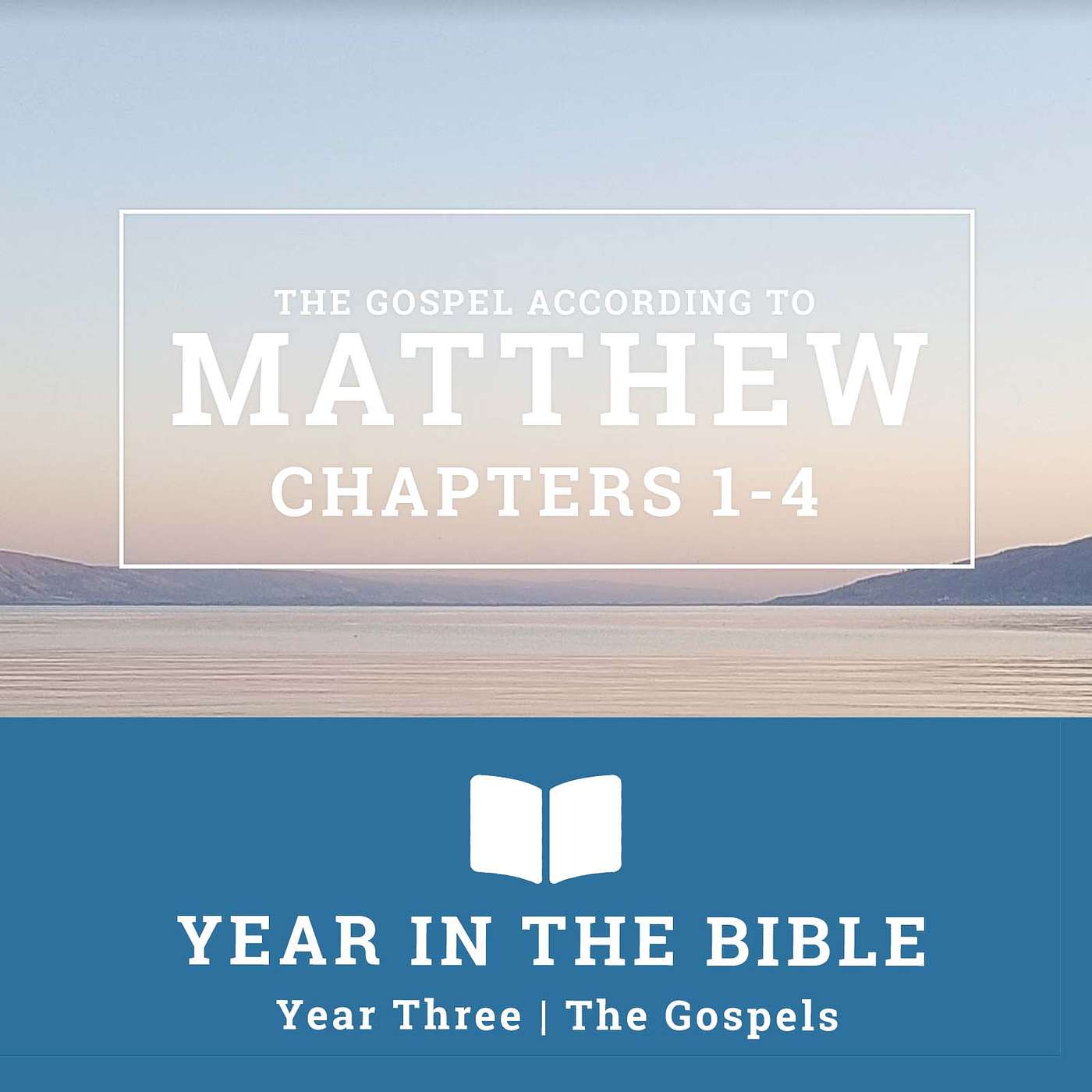 Matthew Chapters 1-4 Part 2 | Year in the Gospels Week 14