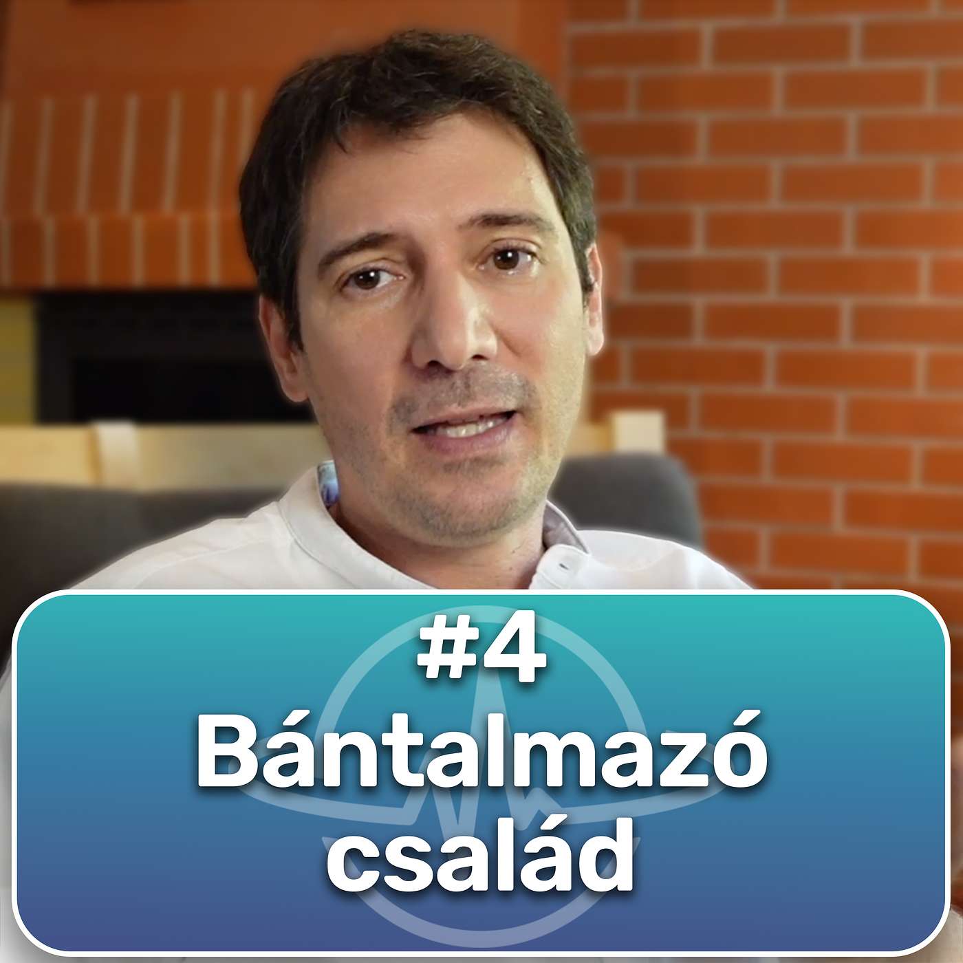 #4 Bántalmazó család