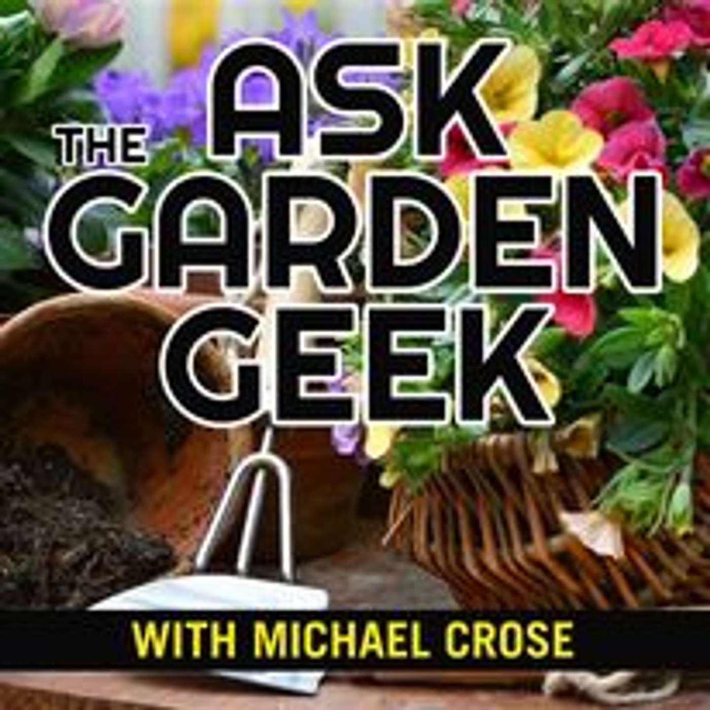 The City's Backyard S2 Ep45 The Garden Geek checks in to make sure we are taking care of not only the backyard but the front yard! Get a green thumb this summer! episode artwork
