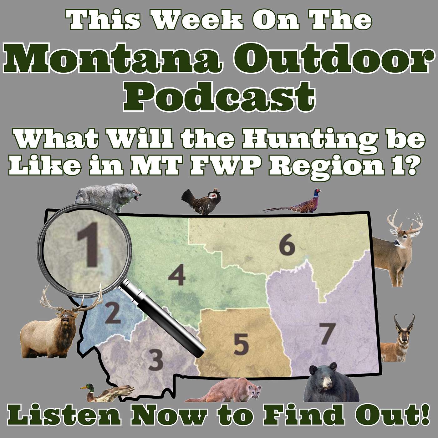 What Will the Hunting be Like in Northwest Montana? Listen to This Podcast and Find Out!