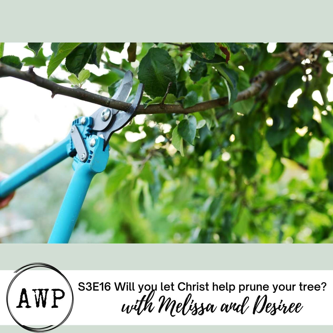 The Articulate Women Podcast