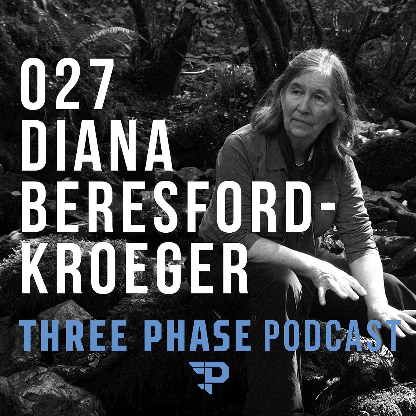 Three Phase Podcast