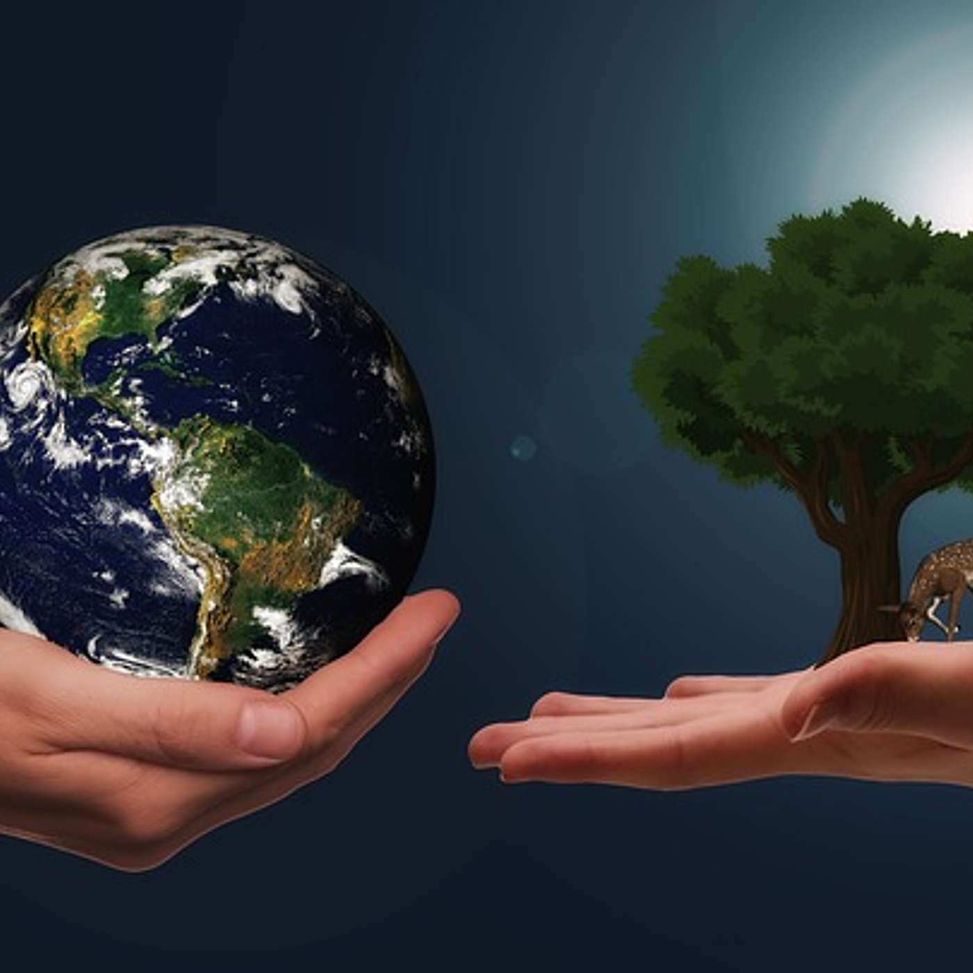 #001 Introductory Episode to Adventures in Sustainable Living Podcast