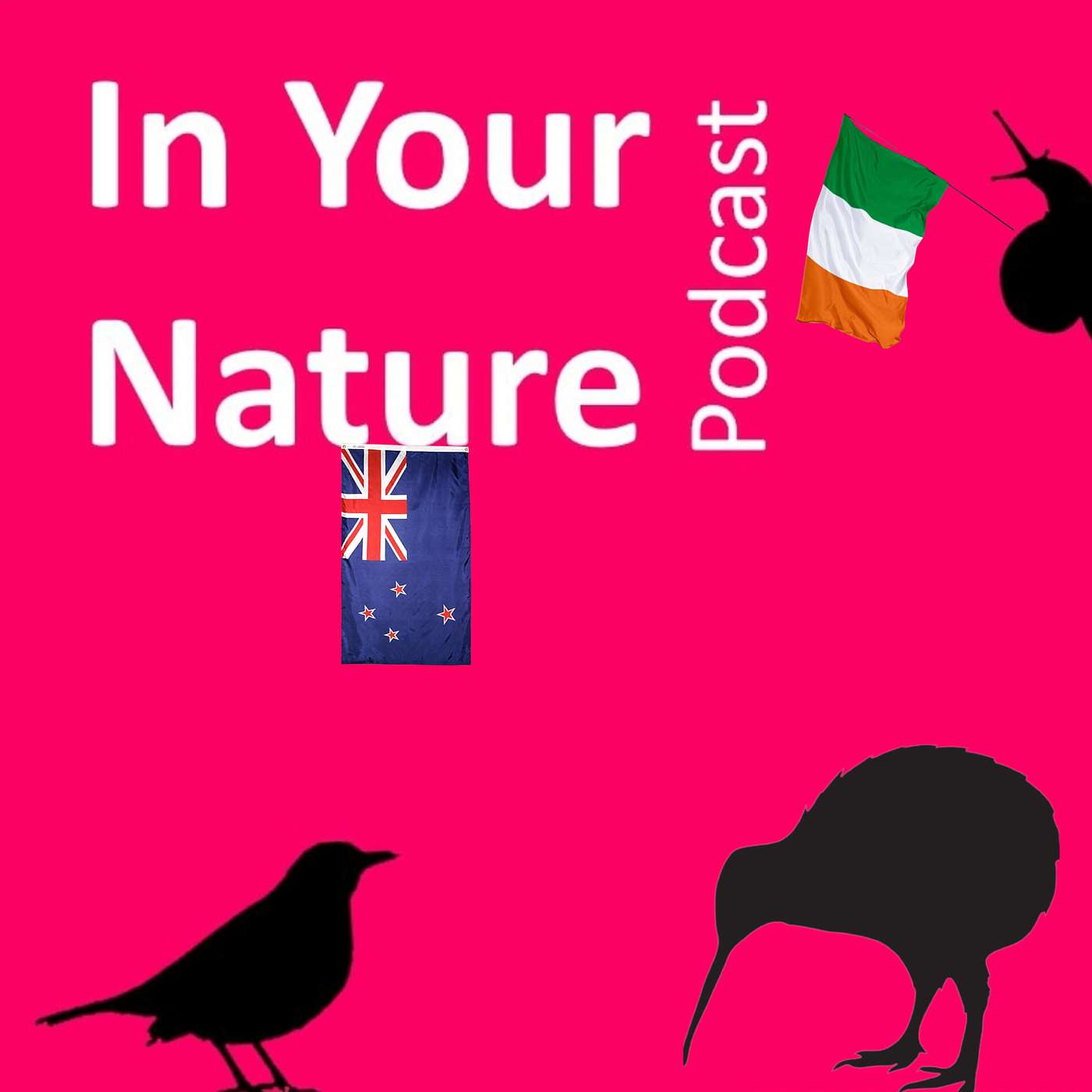 In Your Nature Ep 44 - Ireland Vs New Zealand Bird-off Part 1