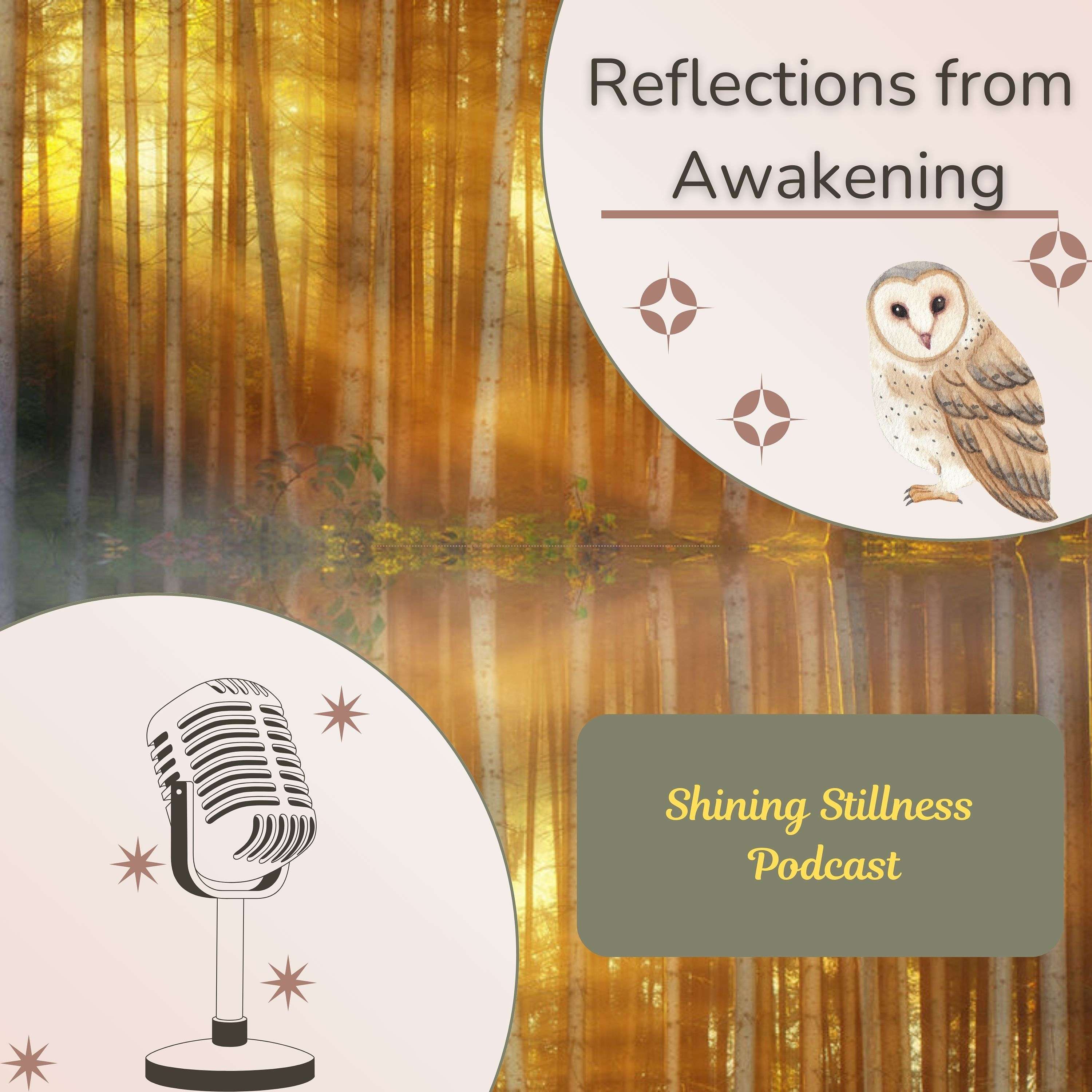 Shining Stillness