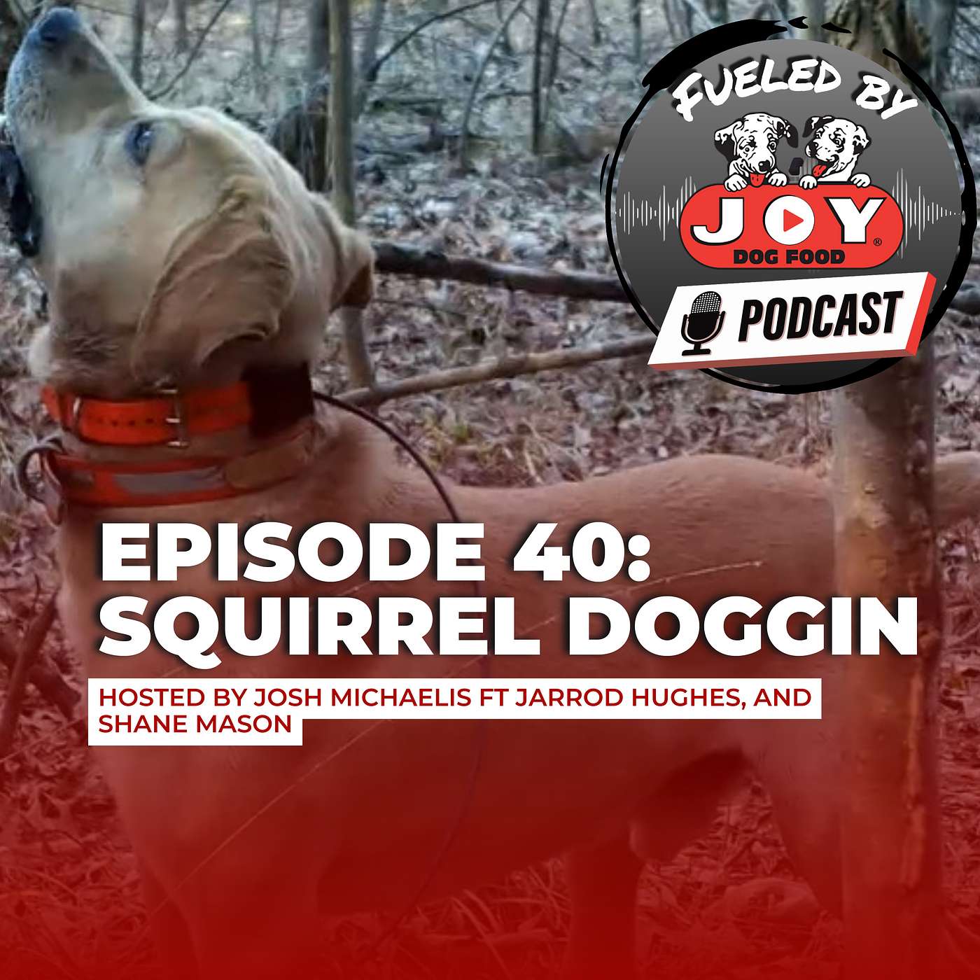 Fueled By Joy - Working Dog Podcast