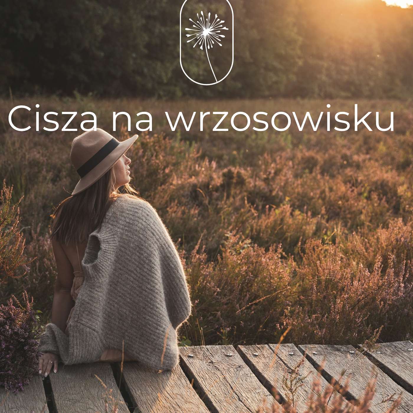 01 Cisza na wrzosowisku