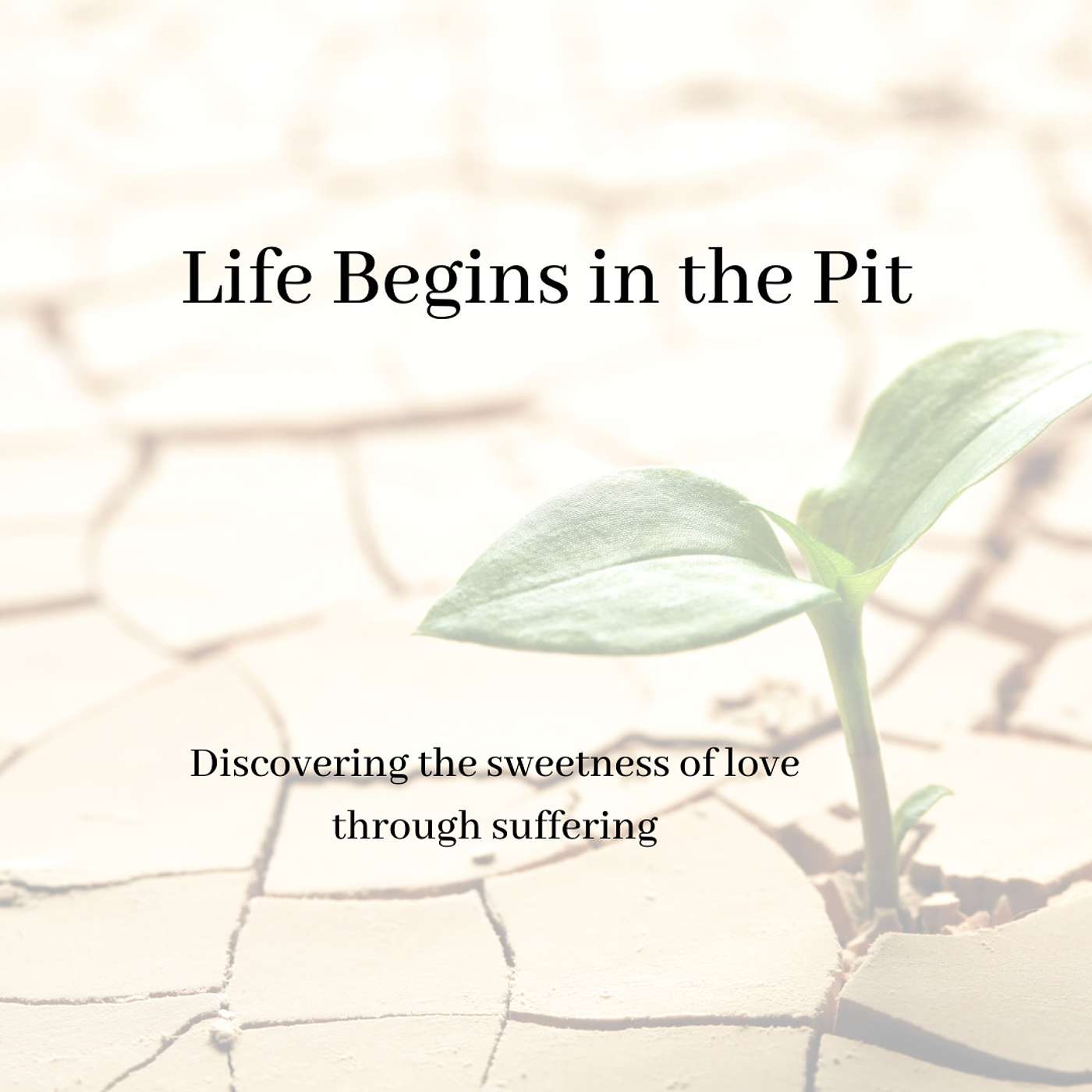Life Begins in the Pit - Discovering the sweetness of love through suffering