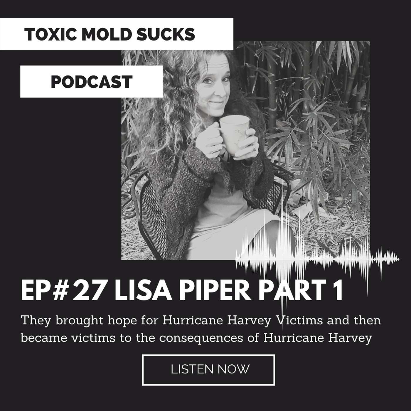 Toxic Mold Sucks Podcast, Presented by Malachi\'s Message Foundation