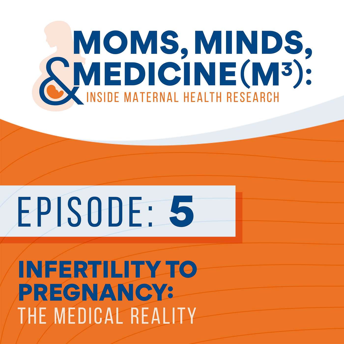 Infertility to Pregnancy: The Medical Reality episode artwork