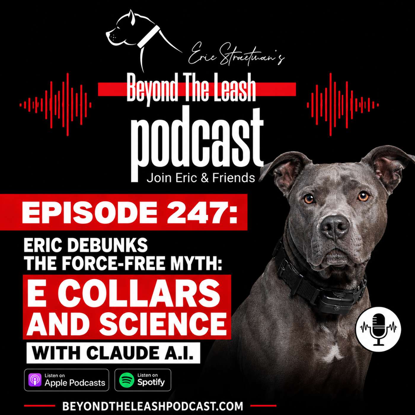 Eric debunks the force-free myth: E collars and science with Claude A.I. episode artwork