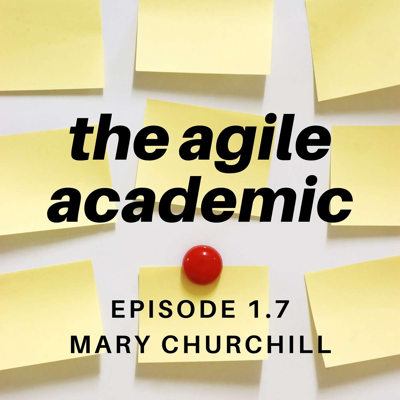 the agile academic