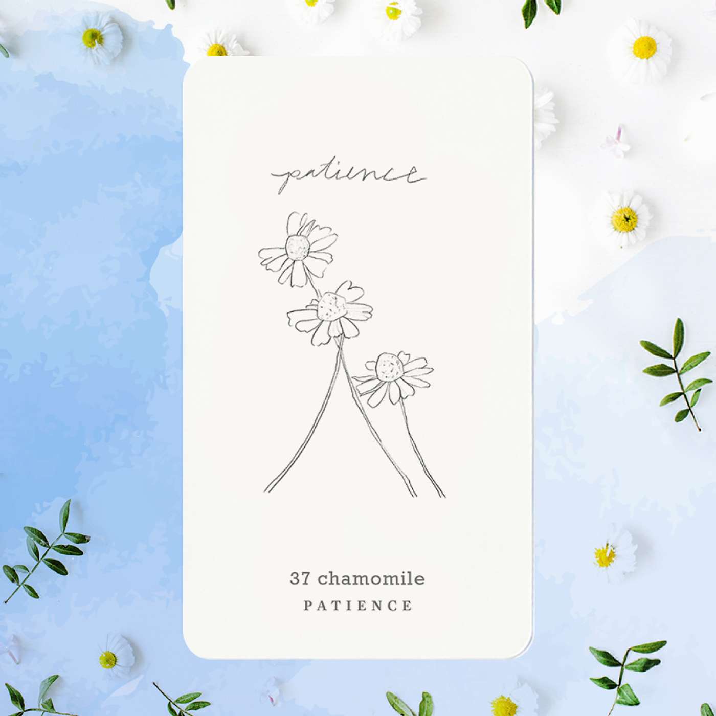 Gratitude Blooming Podcast