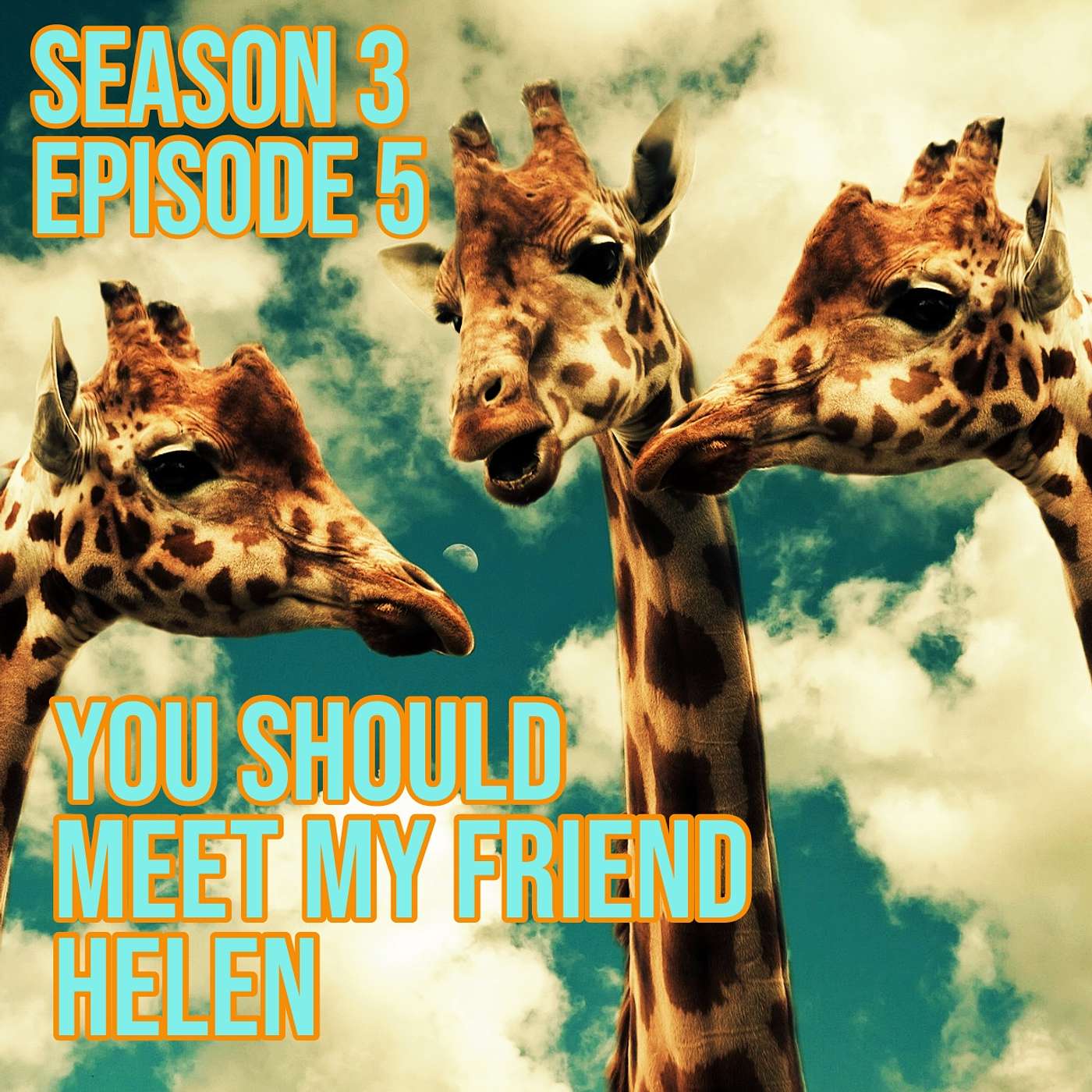 You Should Meet My Friend