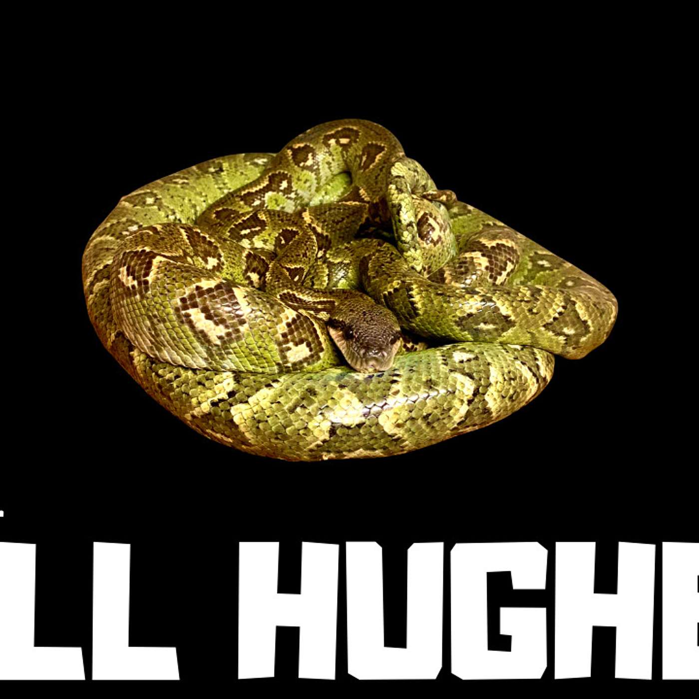 #172 BILL HUGHES | SANZINIA MADAGASCARIENSIS | MADAGASCAR TREE BOA BREEDER | TRAP TALK WITH MJ