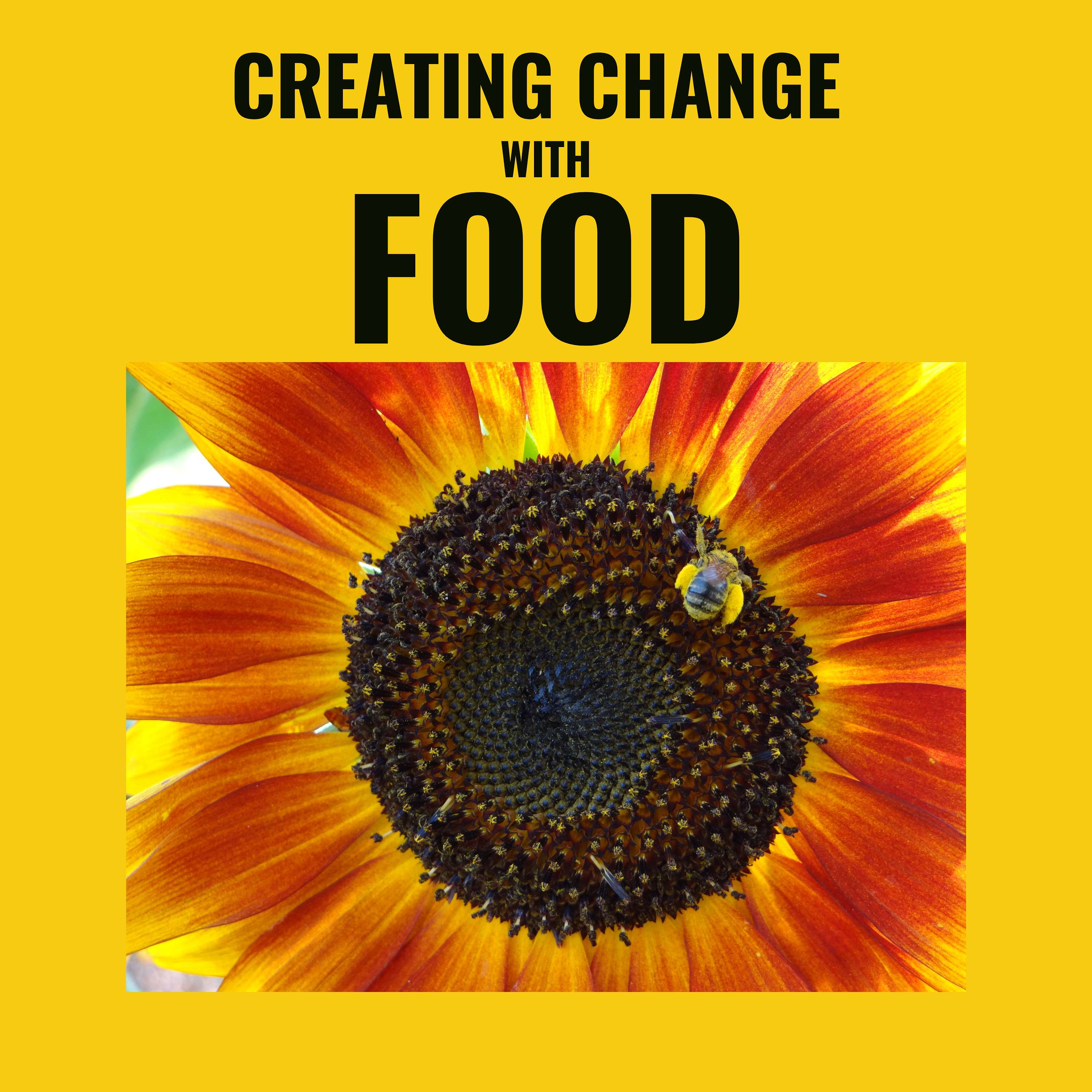 Creating Change with Food cover art