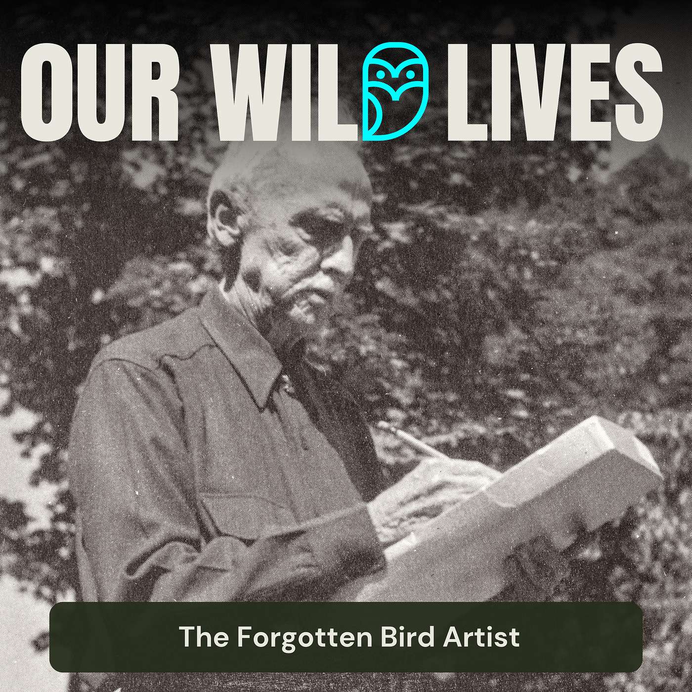 The Forgotten Bird Artist