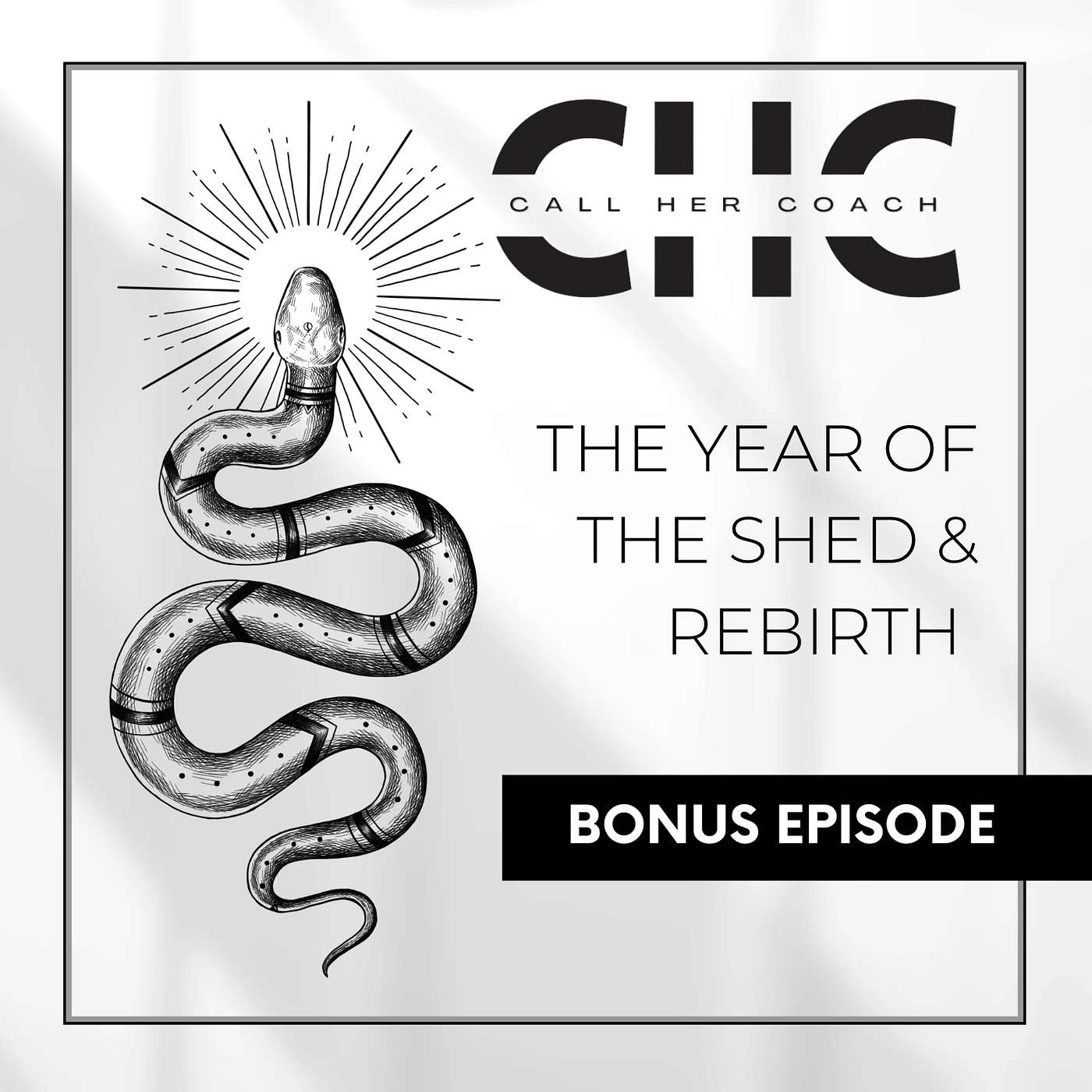 BONUS EPISODE: The Year of the Shed and Rebirth