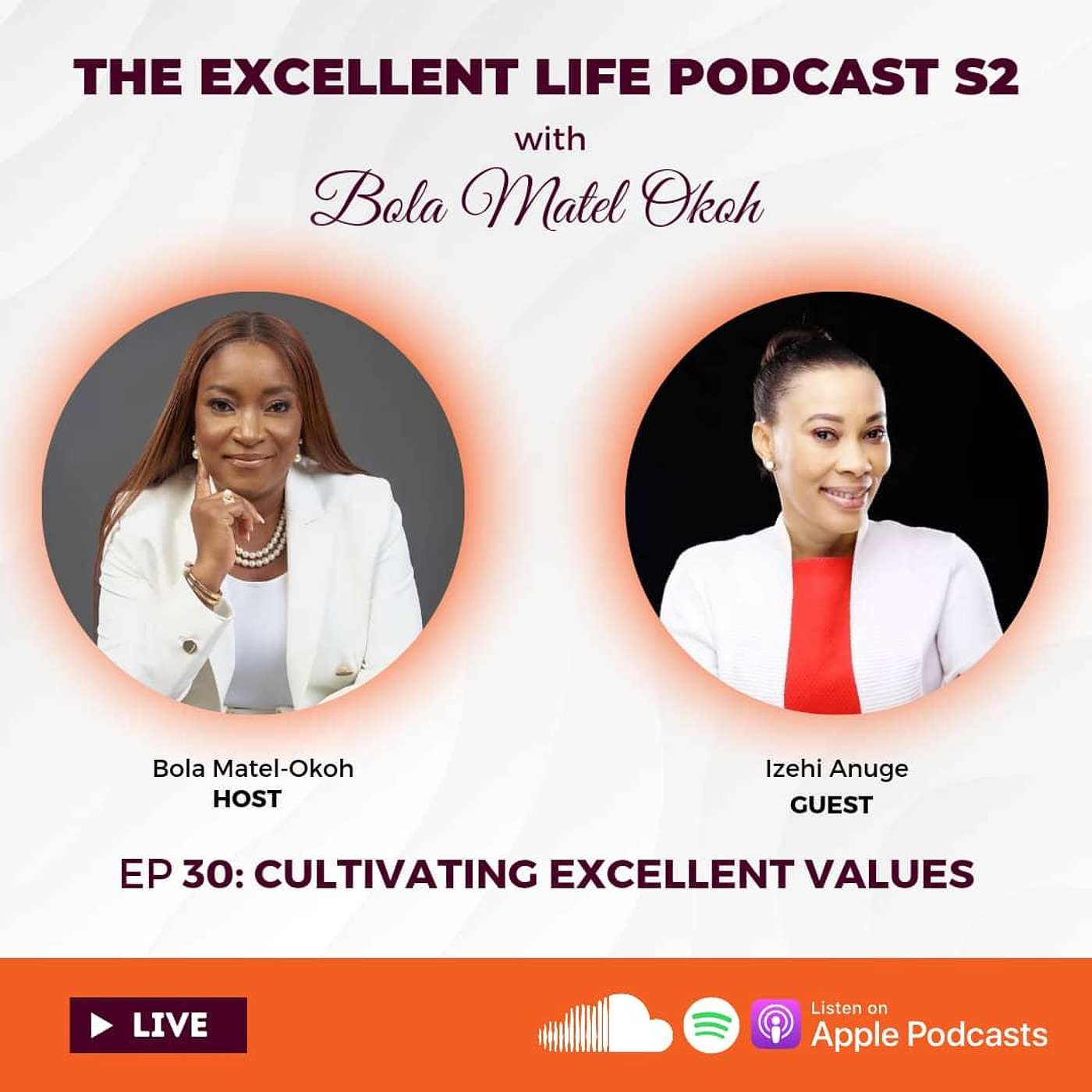 The Excellent Life Podcast