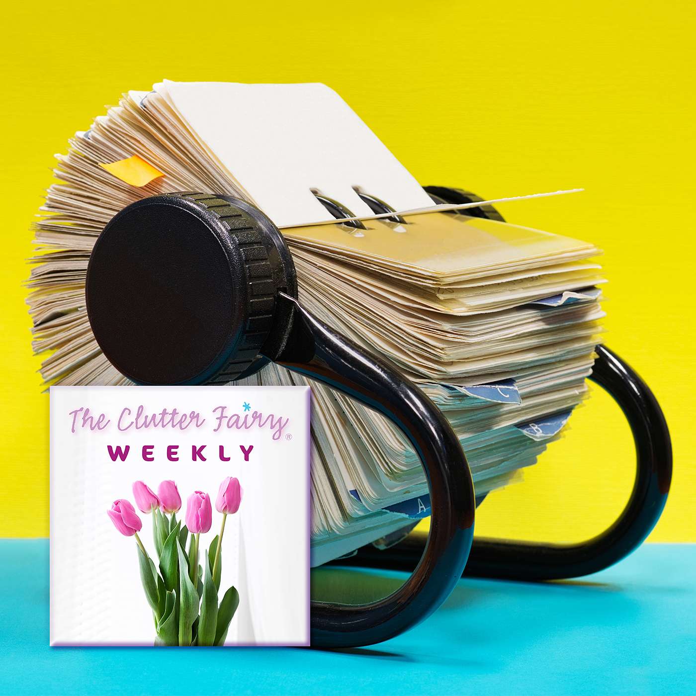 The Clutter Fairy Weekly