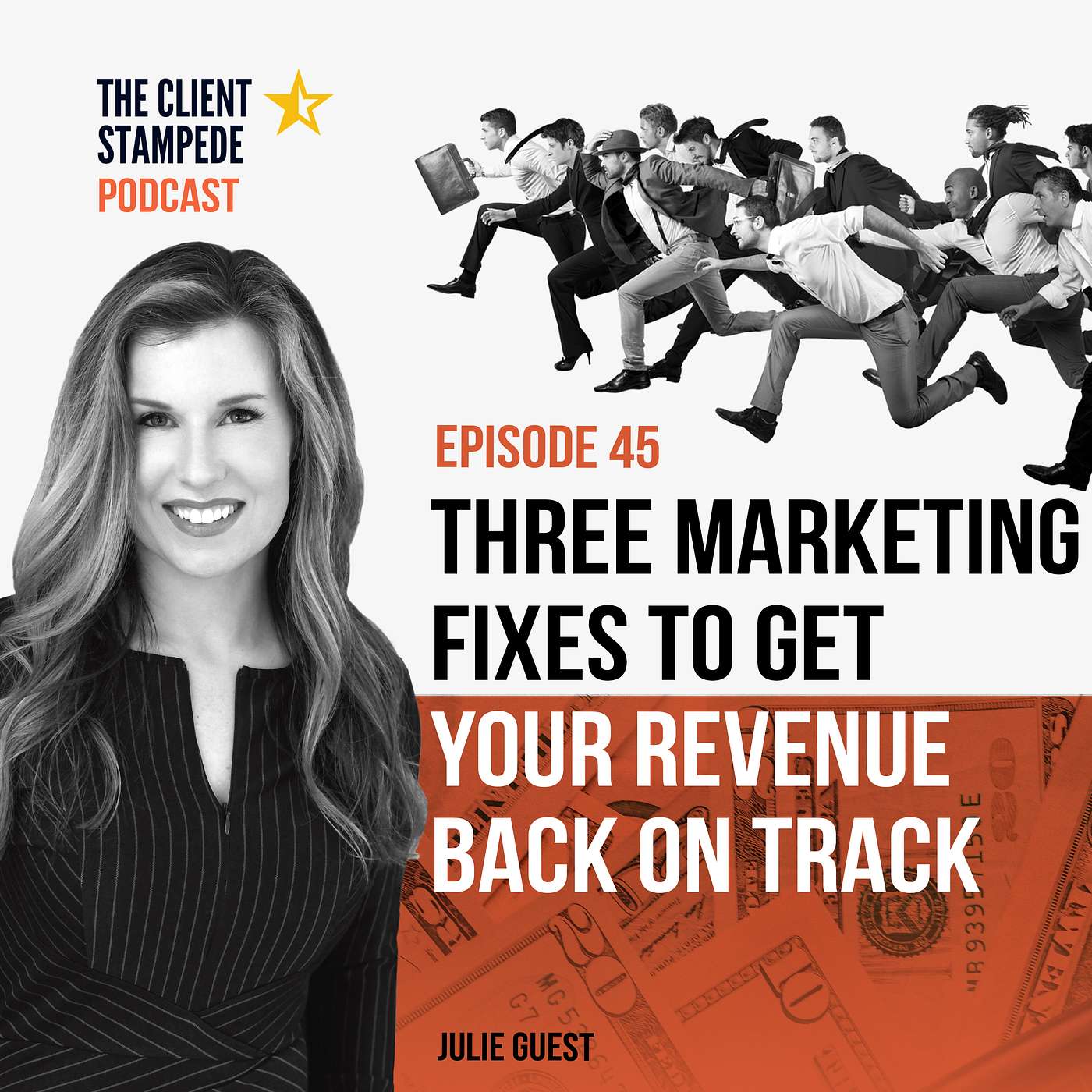 #45 Three Marketing Fixes To Get Your Revenue Back On Track