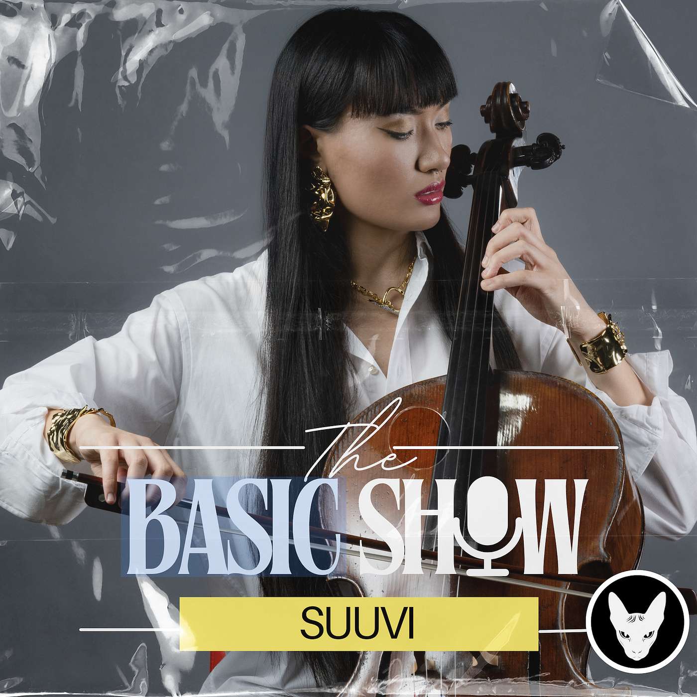 The BASIC Show