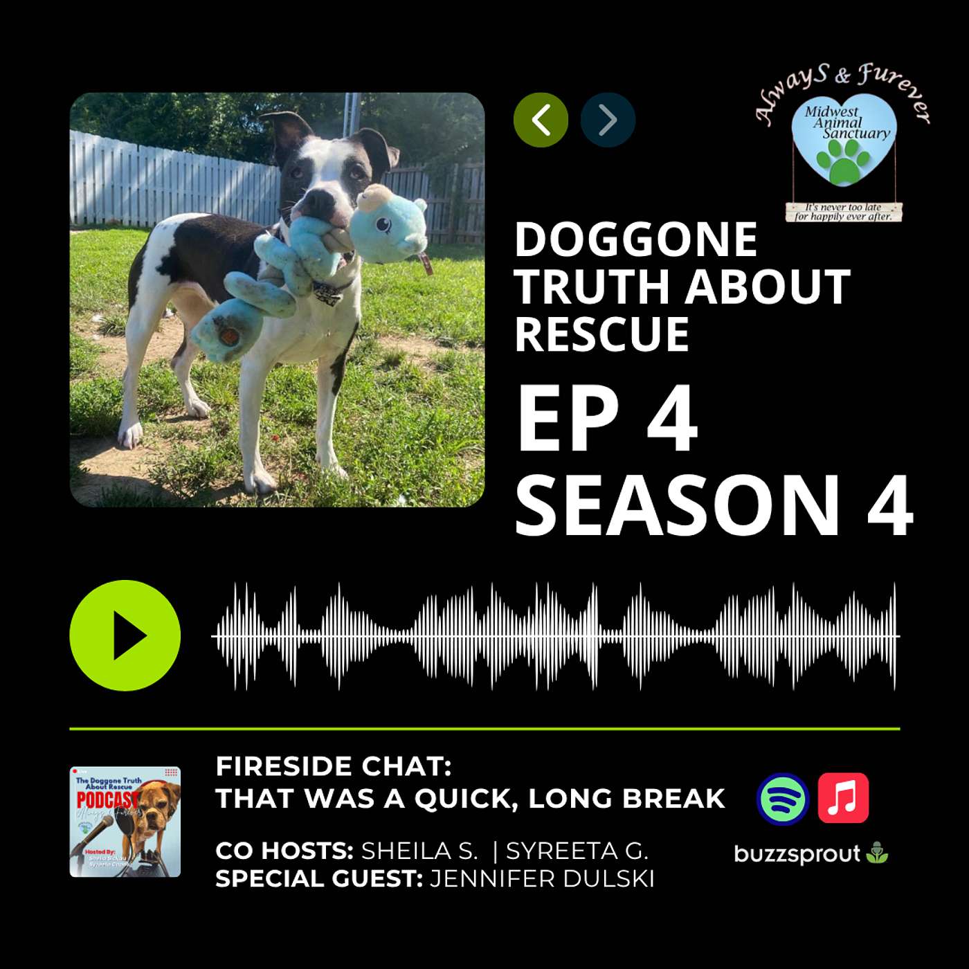 The Doggone Truth About Rescue - Always & Furever