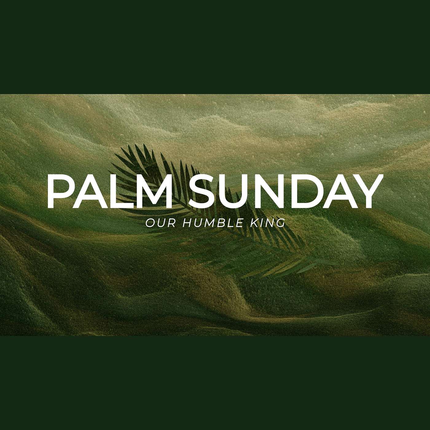 Palm Sunday: Our Humble King episode artwork