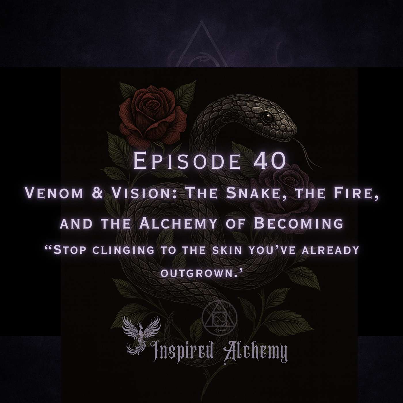 Episode 40 Venom & Vision: The Snake, the Fire, and the Alchemy of Becoming episode artwork