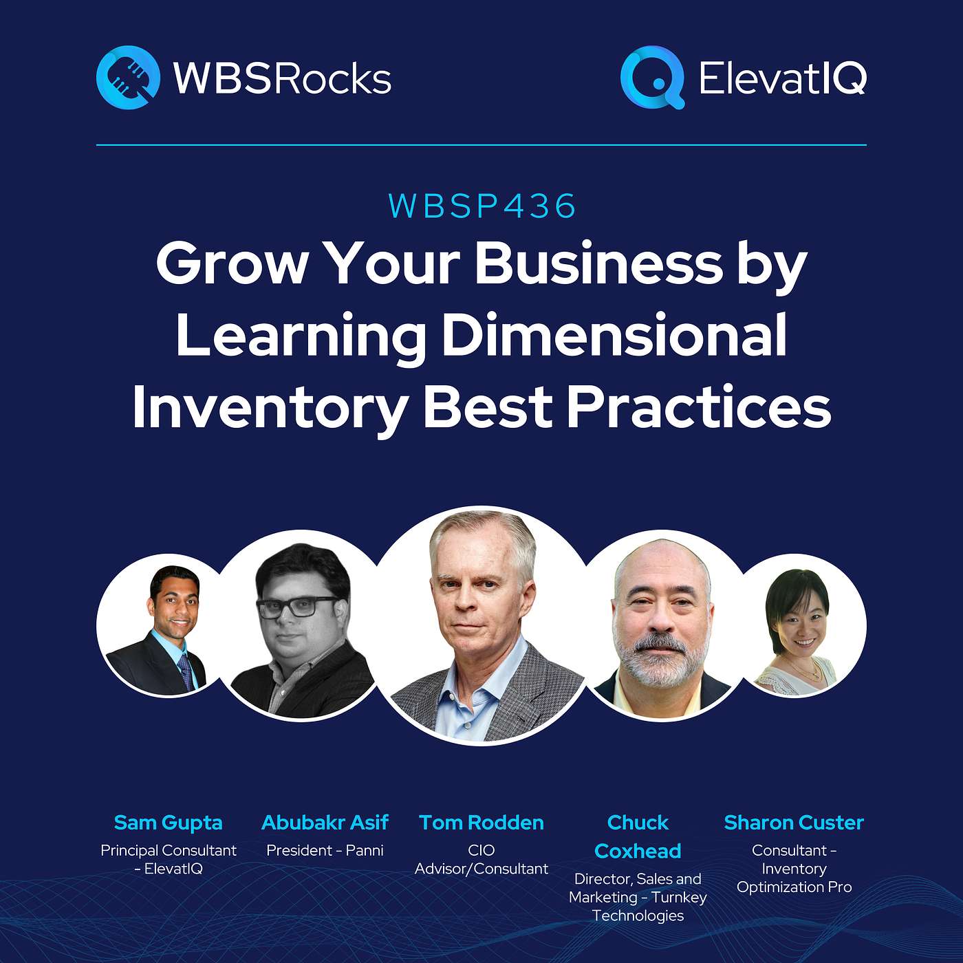 WBSP436: Grow Your Business by Learning Dimensional Inventory Best Practices, a Live Interview w/ a Panel of Experts