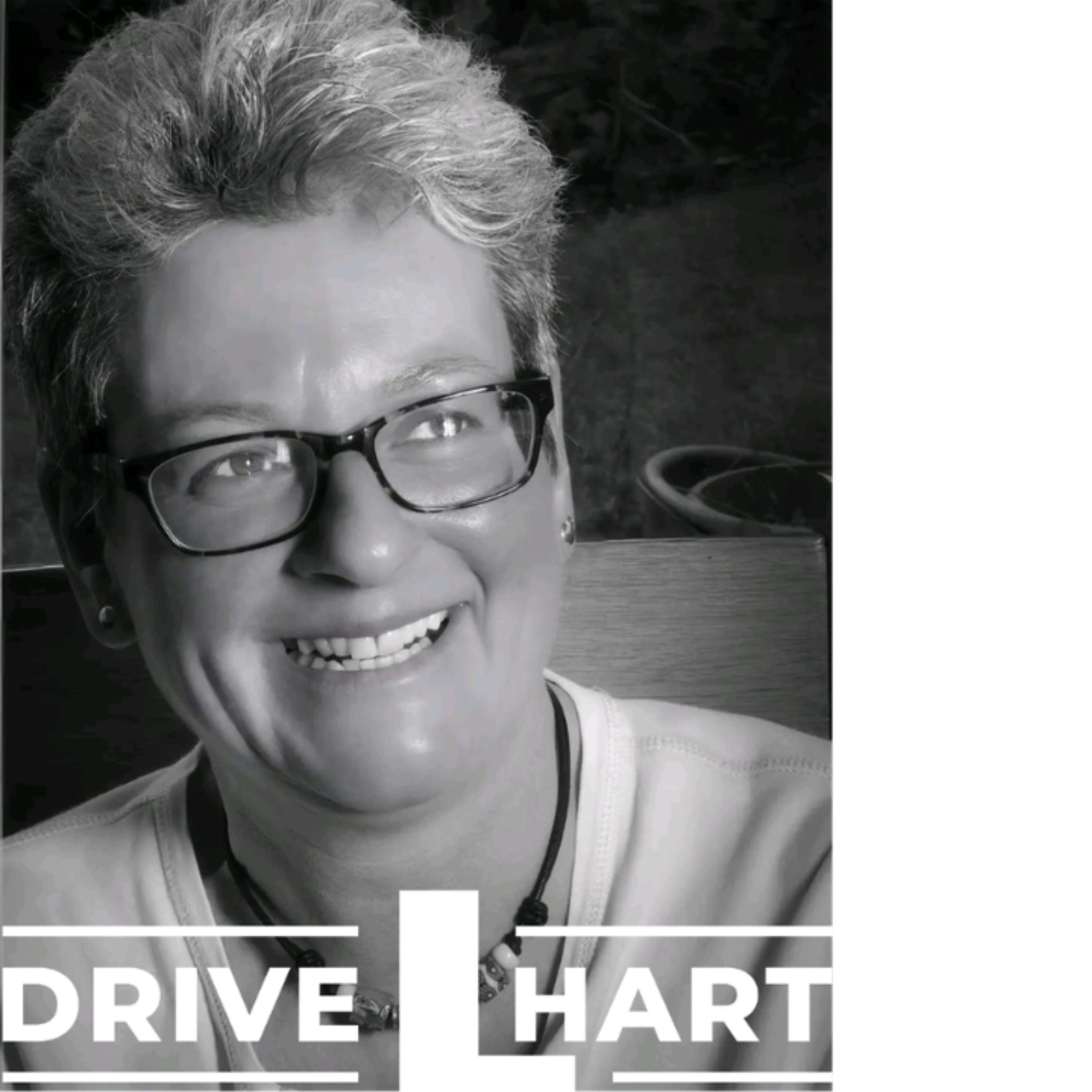 Teaching A Learner To Drive?
