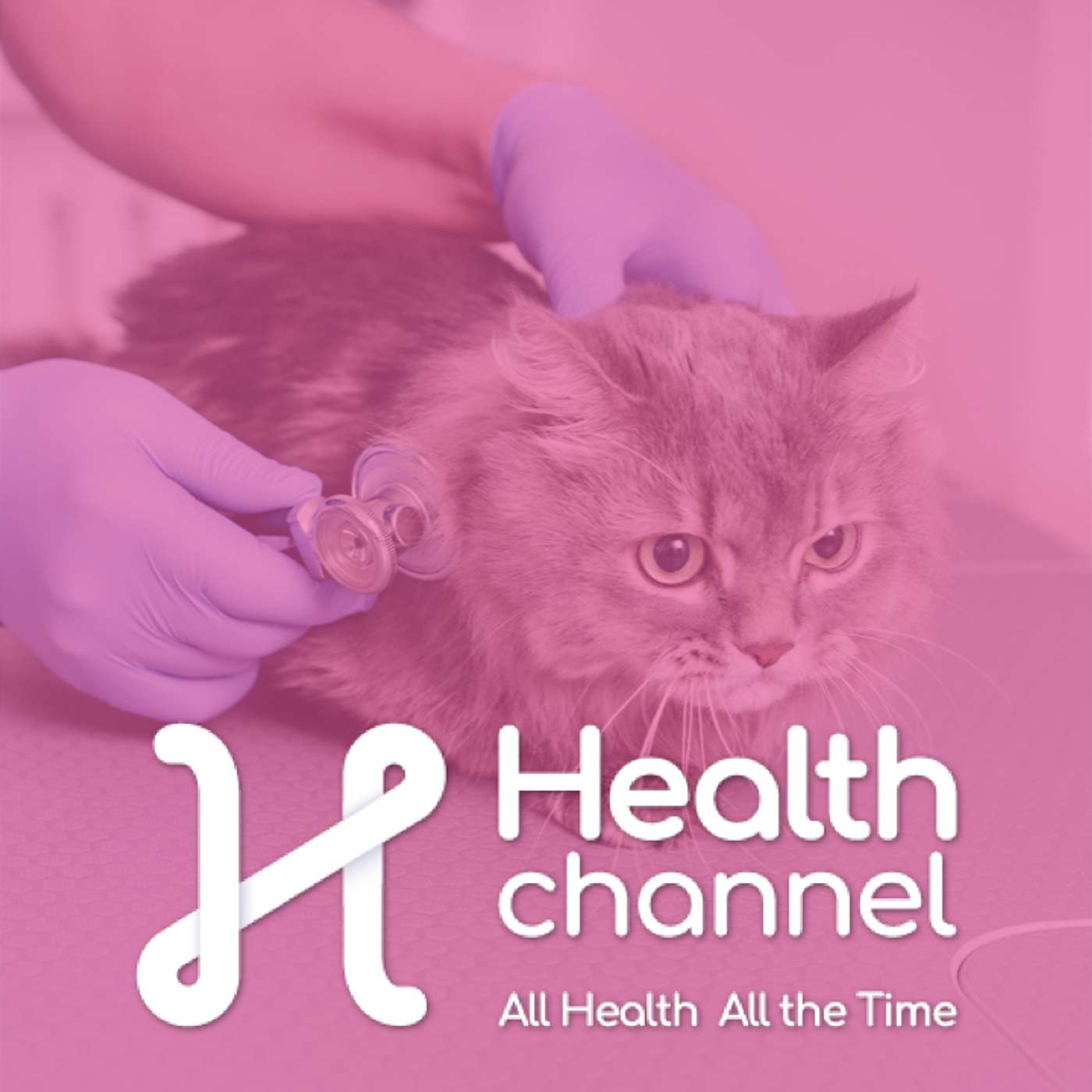 Pet Questions You’ve Been Afraid to Ask | Ask the Doc
