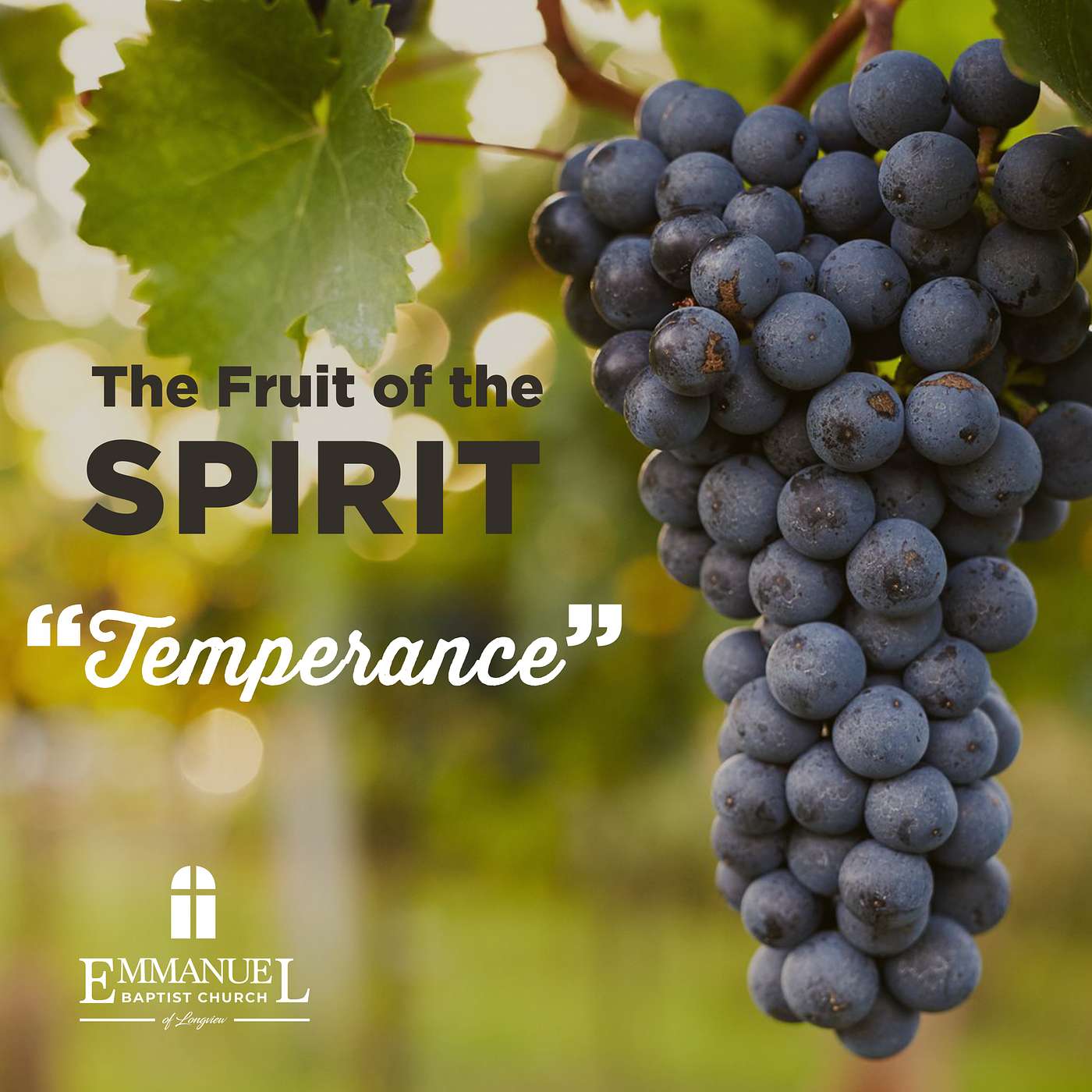 Fruit of the Spirit - Temperance - Wednesday Bible Study 04/13/2022 - Pastor Bob Gray II episode artwork