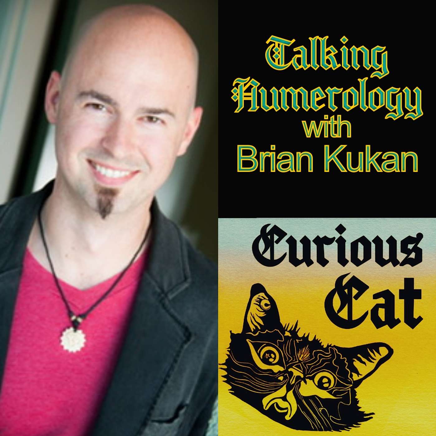 Curious Cat