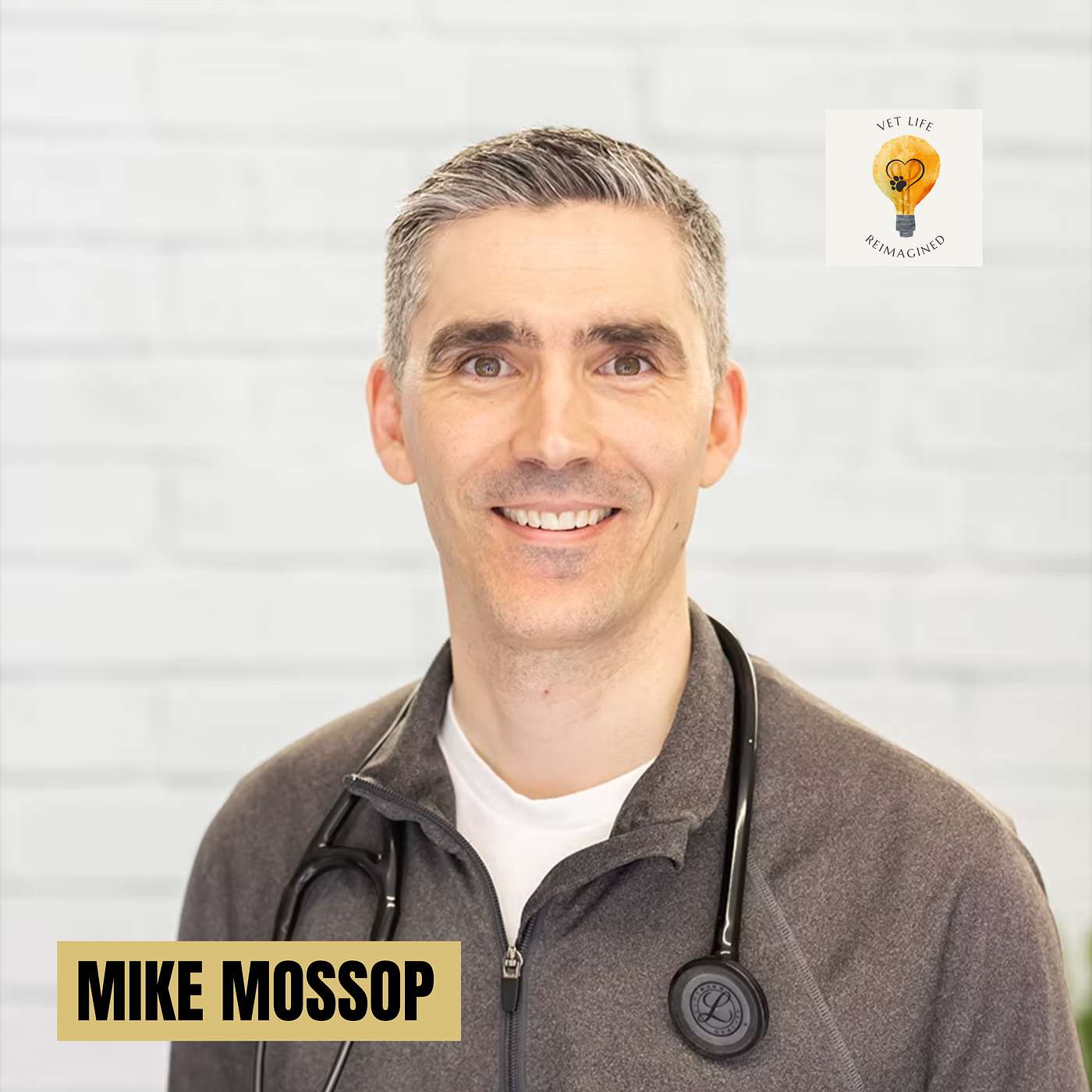 Can AI make veterinary medicine more human? (Dr. Mike Mossop)