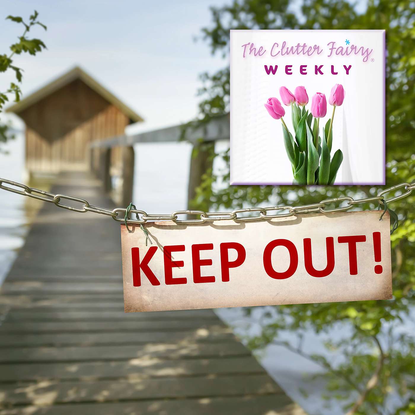 Out of Sight, On Your Mind: Declutter Your Personal Space of Shame - The Clutter Fairy Weekly #298