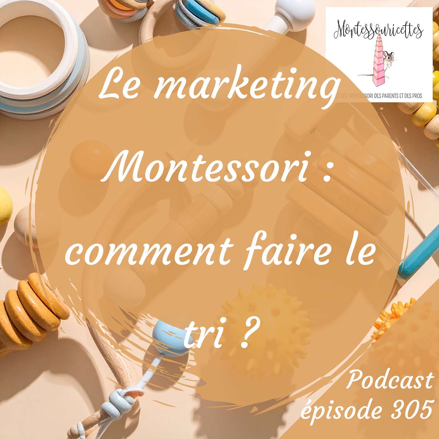 305. Le marketing Montessori : comment faire le tri ? (redif) 305. Le marketing Montessori : comment faire le tri ? (redif)