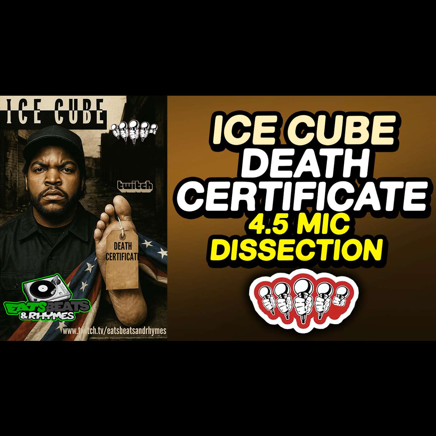 THE SOURCE MAG 4.5 MIC DISSECTION OF... ICE CUBE - DEATH CERTIFICATE / SHOULD IT HAVE 5 MICS??? /
