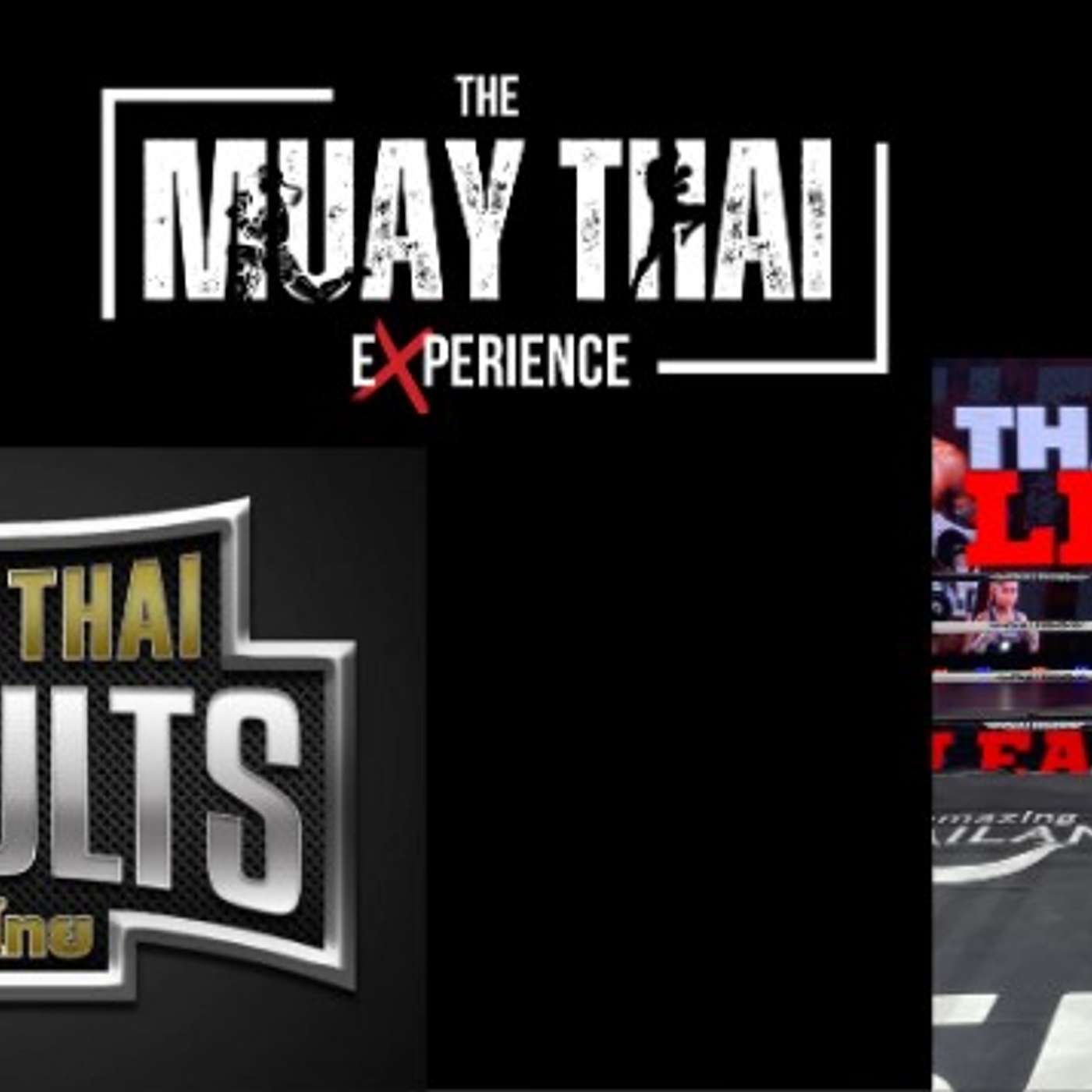 The Muay Thai Experience