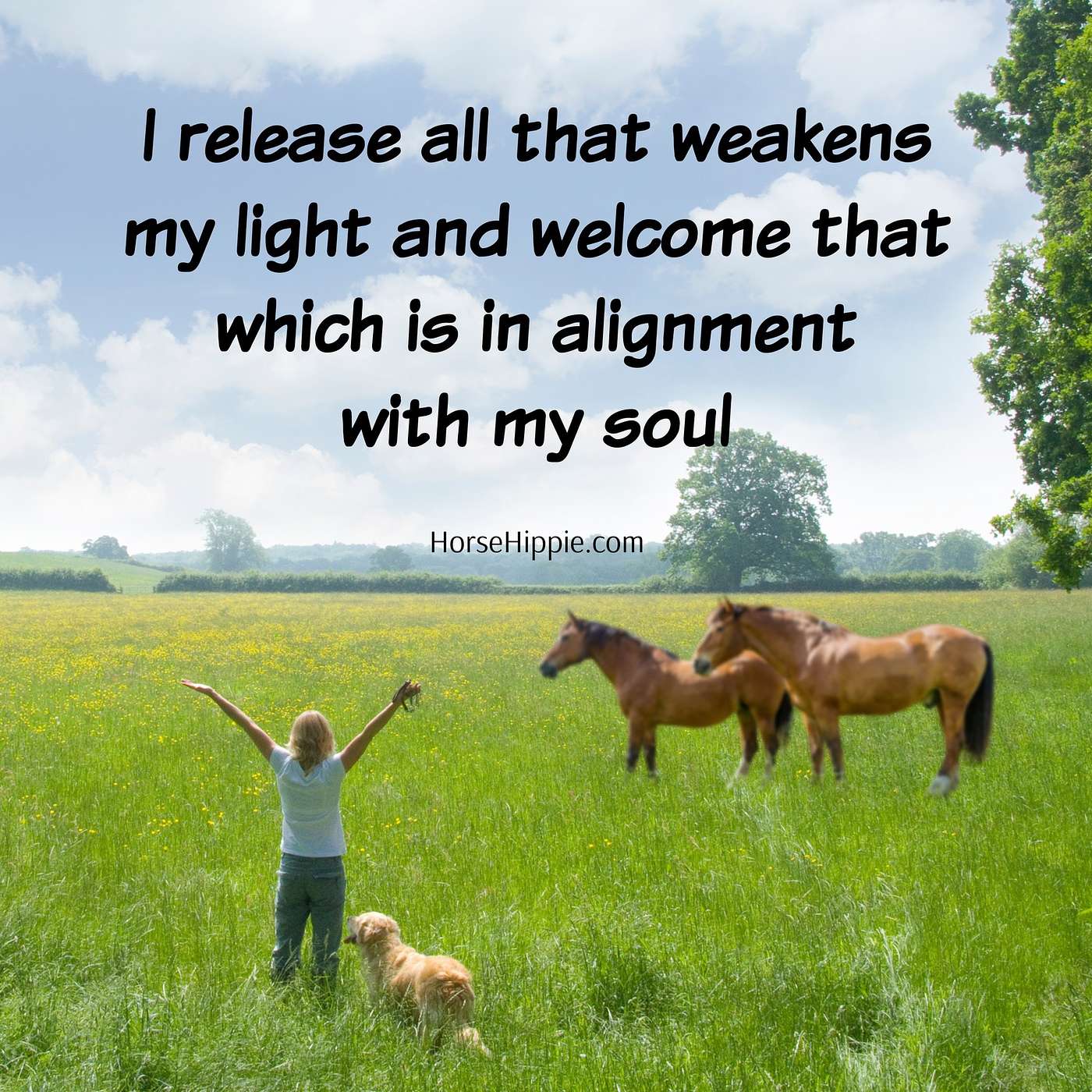 Getting in Alignment with your Soul