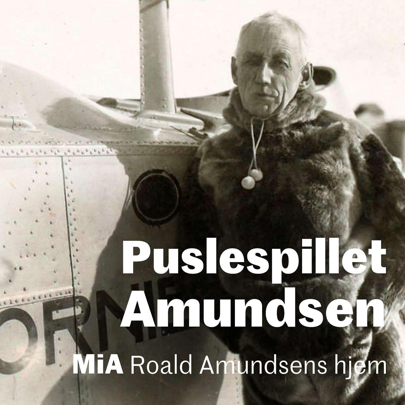 Puslespillet Amundsen