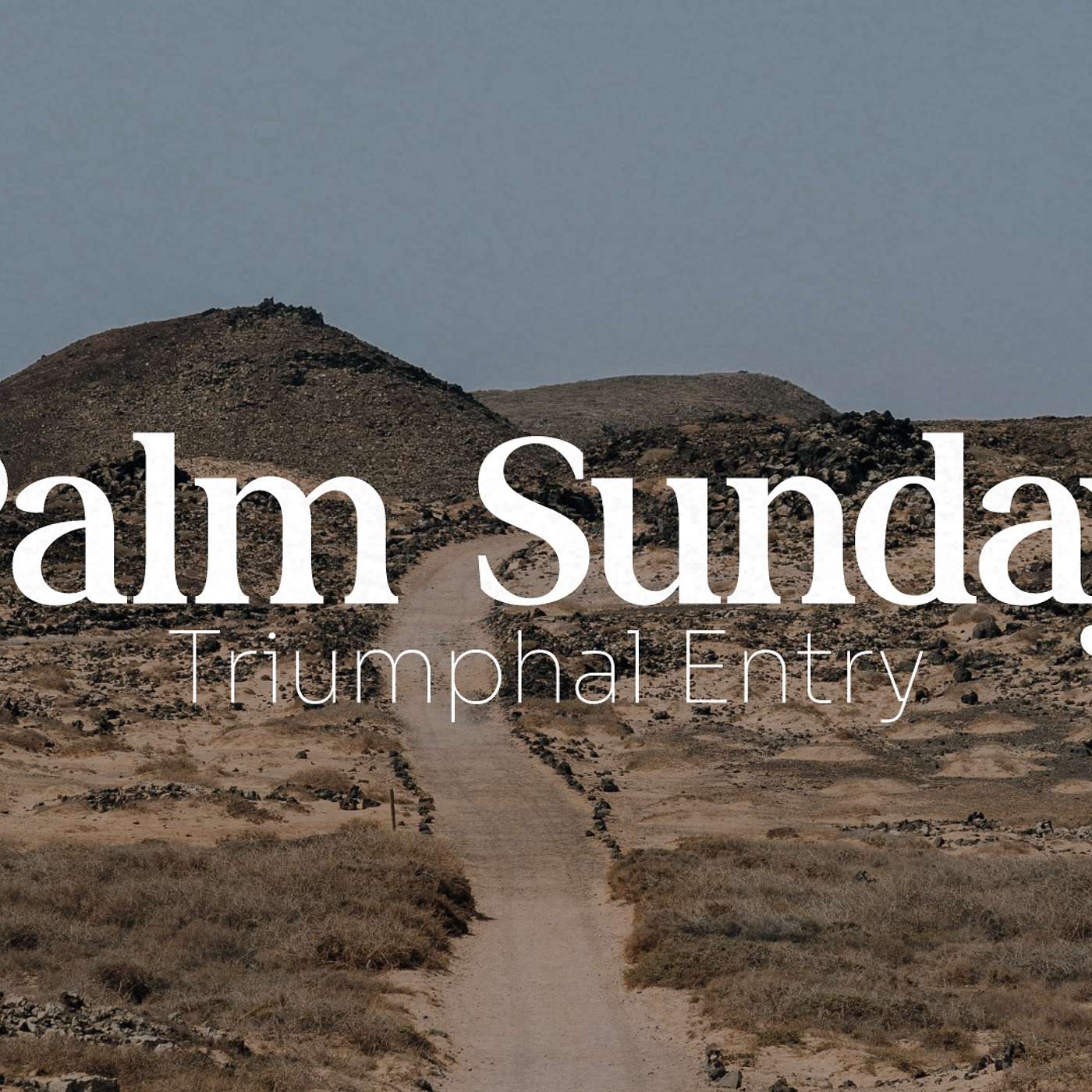 Palm Sunday: Triumphal Entry episode artwork