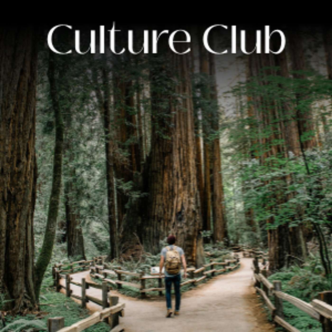 Culture Club