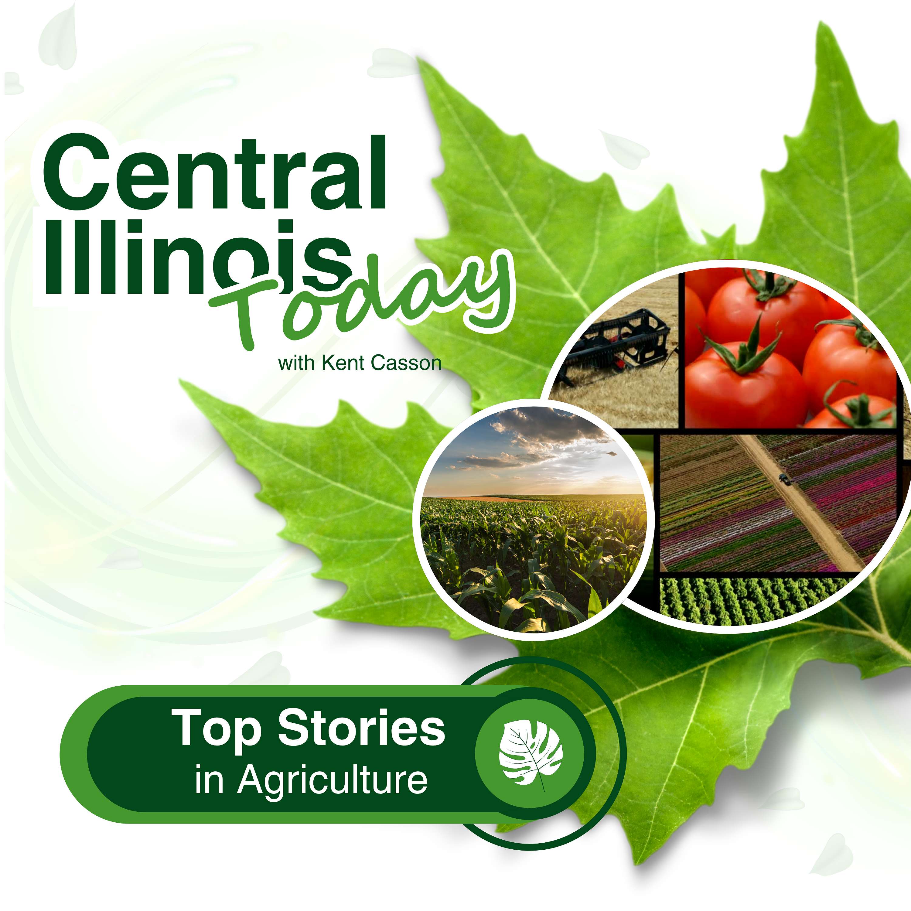 Central Illinois Today