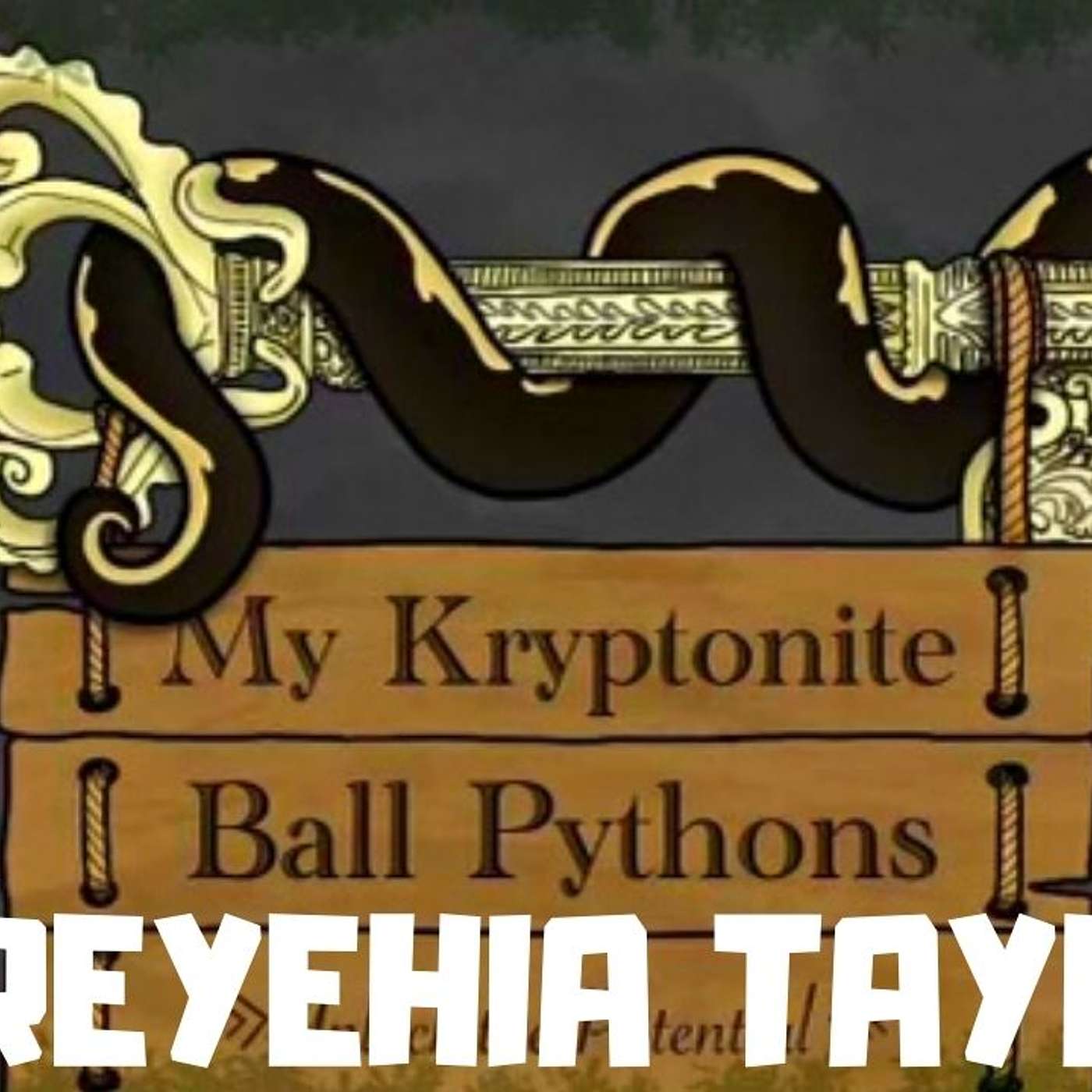 #73 MEREYEHIA TAYLOR OF MY KRYPTONITE BALL PYTHONS | BALL PYTHONS | GIRL POWER | CANADA | TRAP TALK