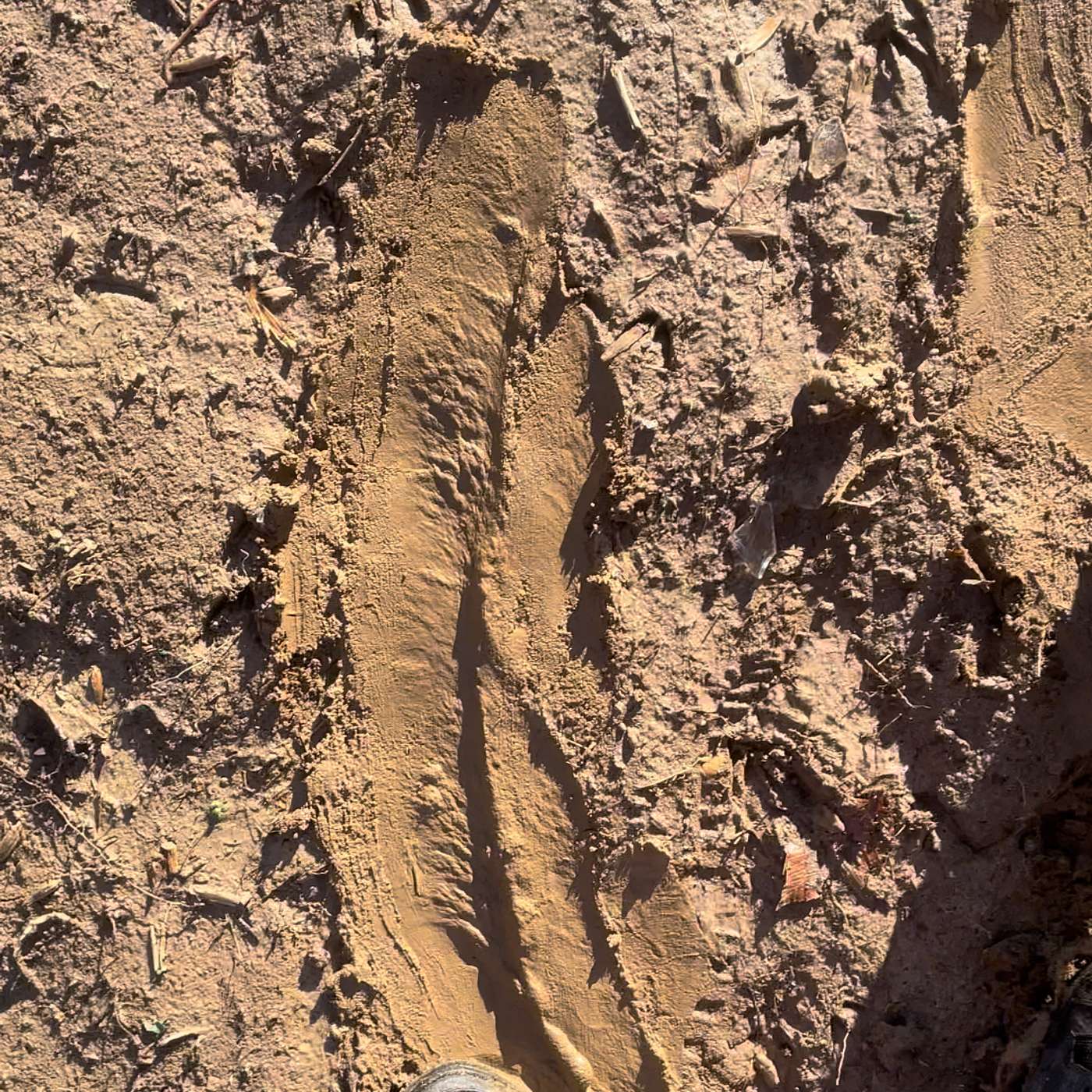 When Not To Go Hiking