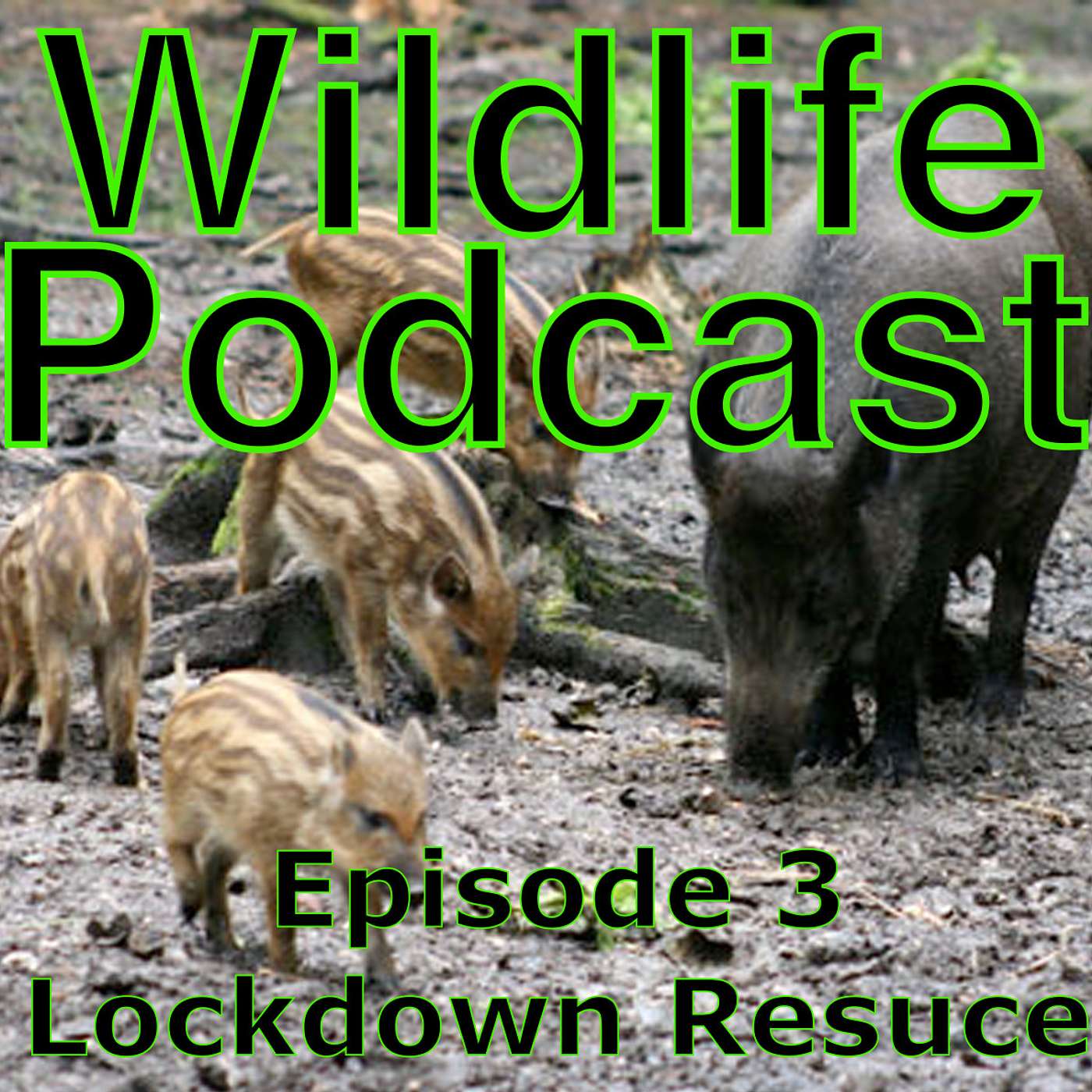 3. Bonus - Lockdown Rescue