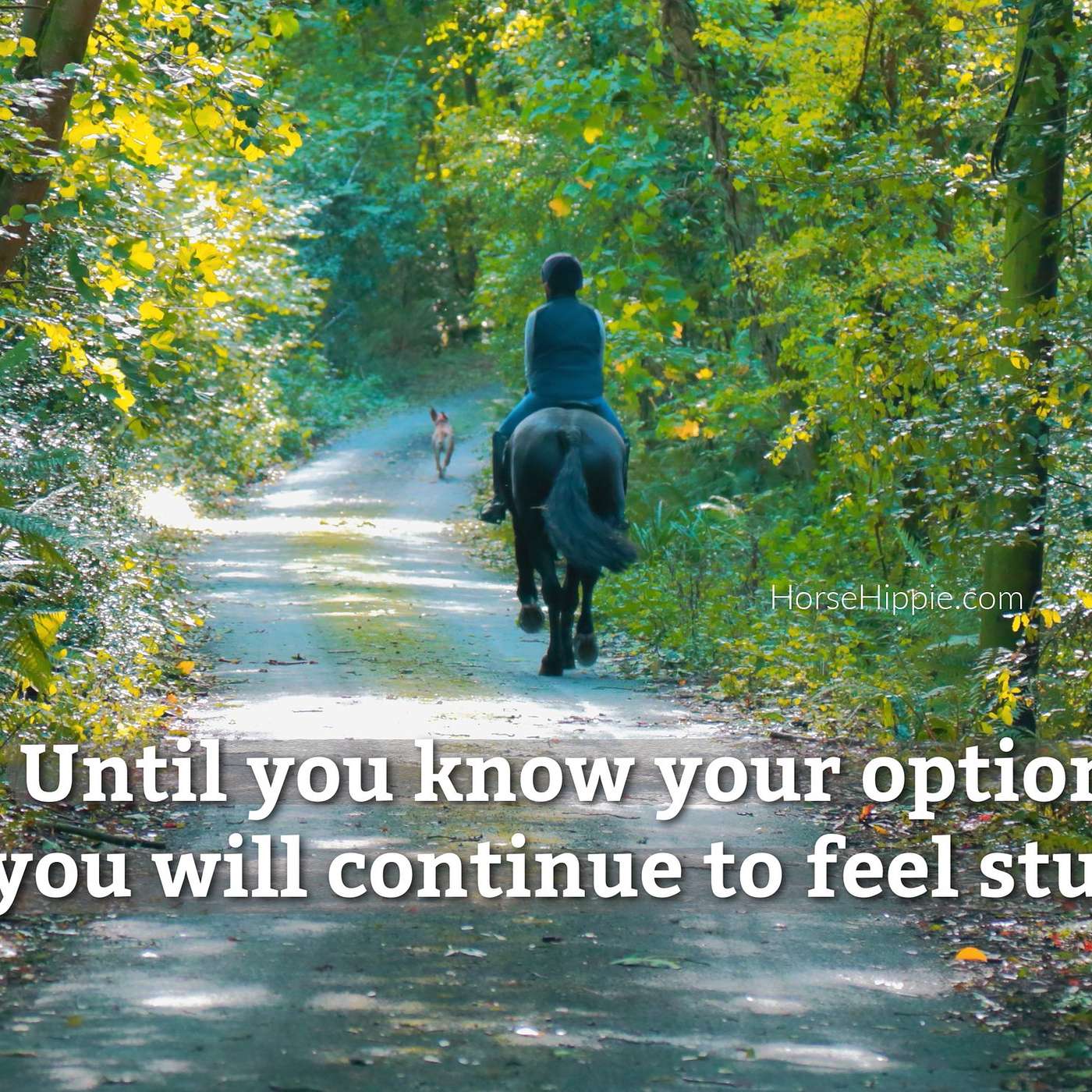 Expand Your Options Expand Your Options