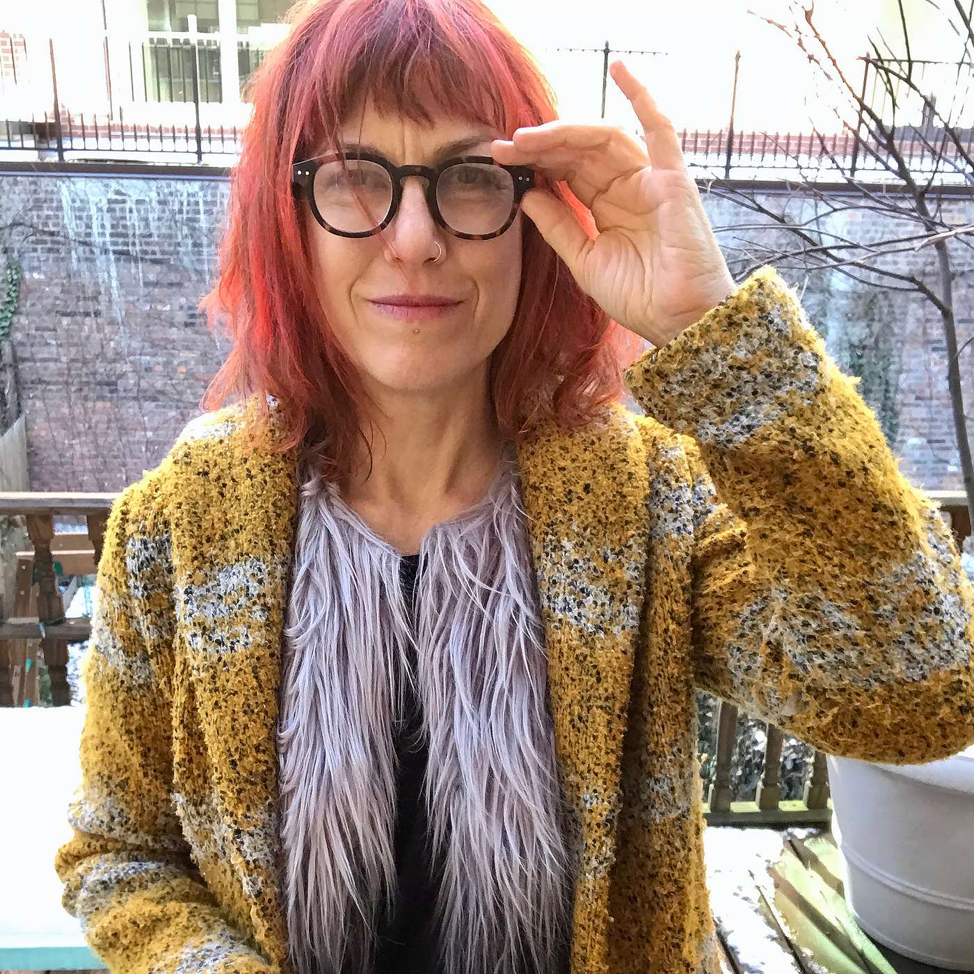 Episode 40: Shelley Jackson + Darcey Steinke (December 13, 2018)