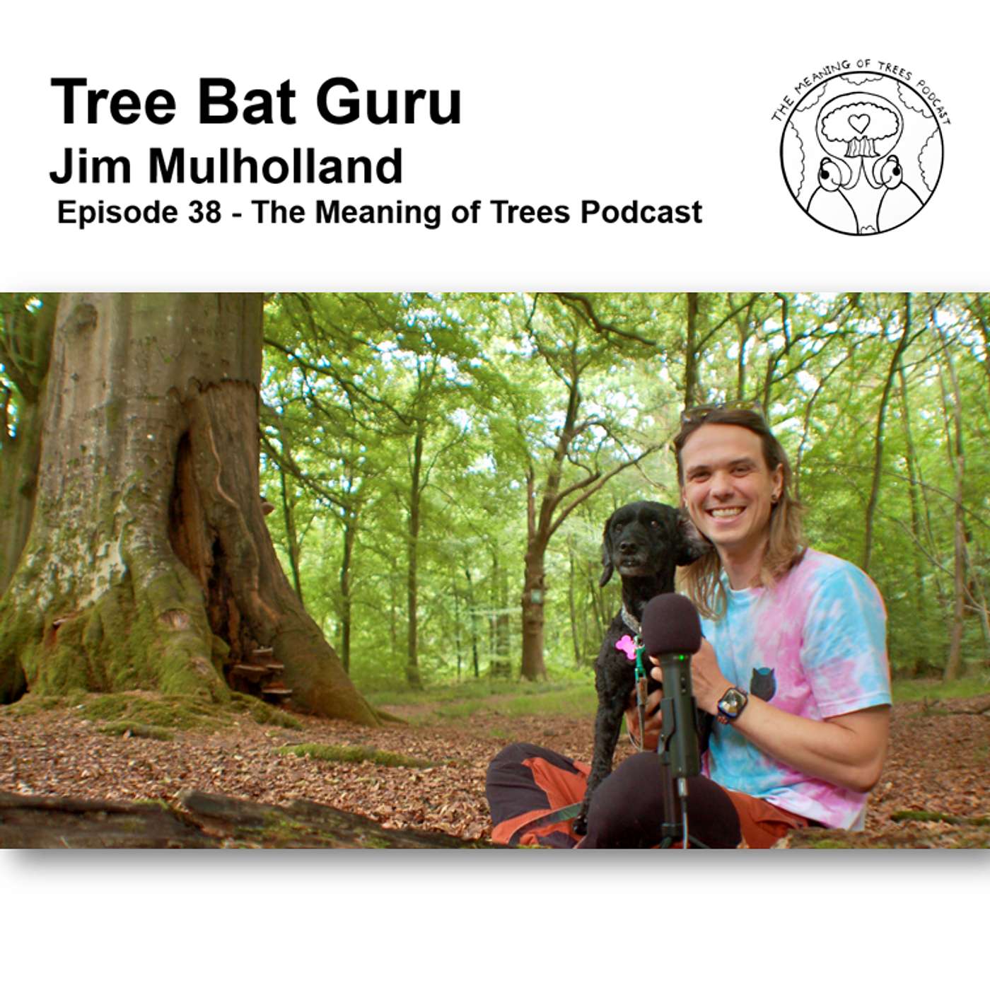 Tree Bat Guru - Jim Mulholland - E38